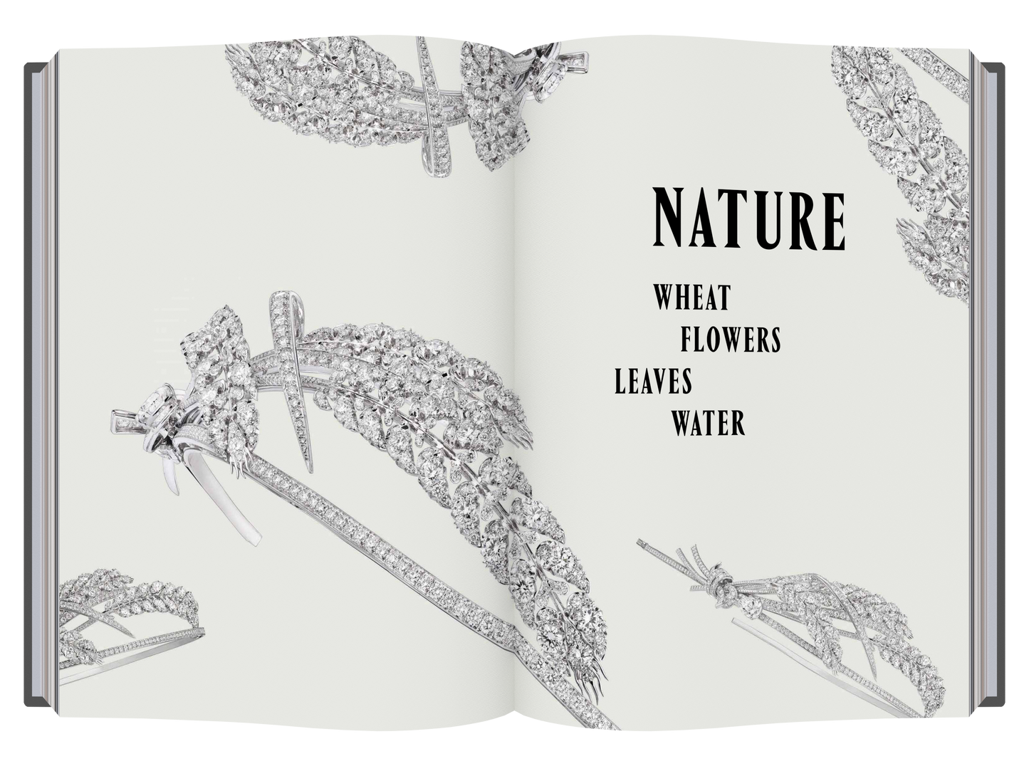 Chaumet Tiaras