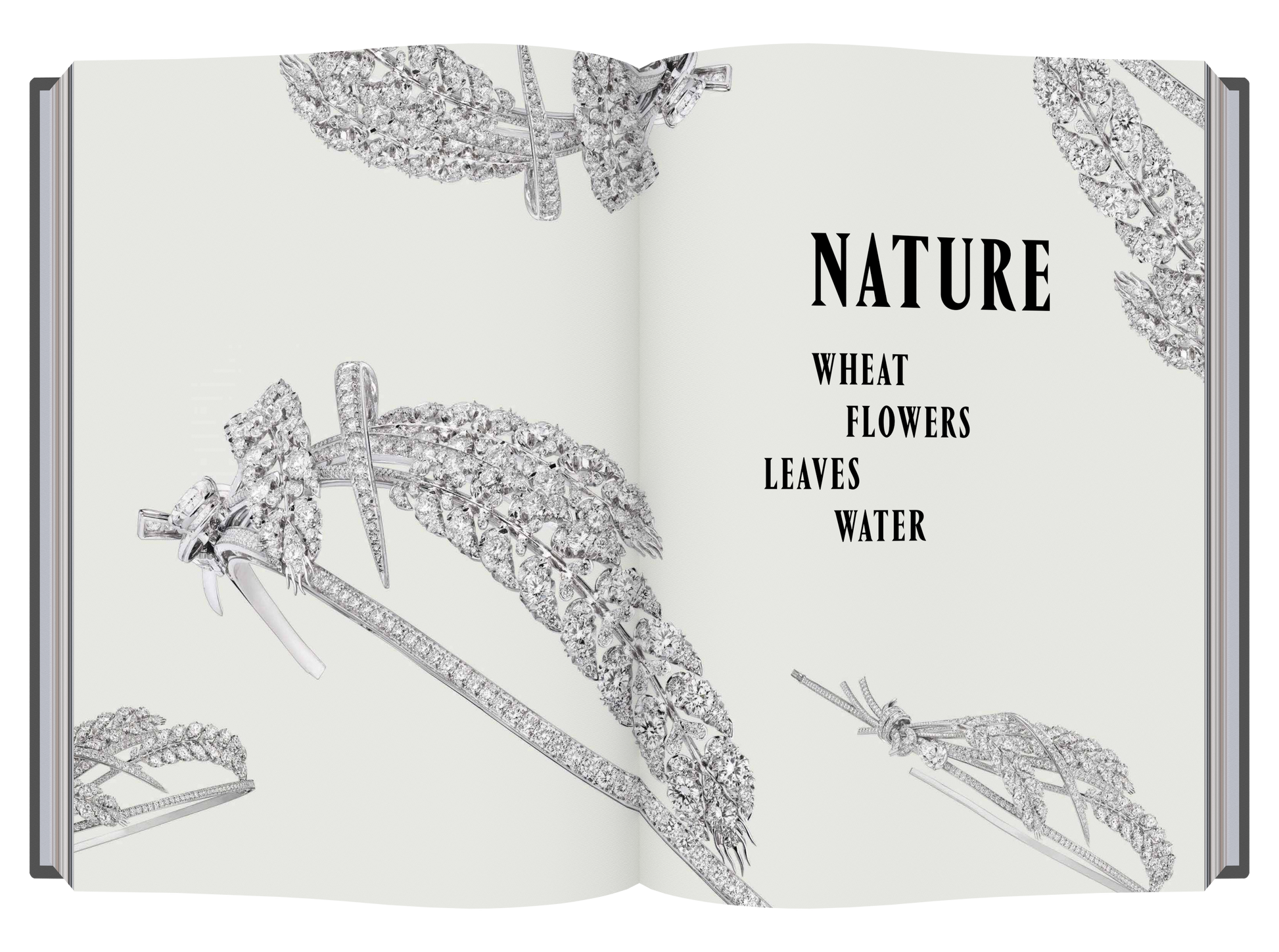 Chaumet Tiaras
