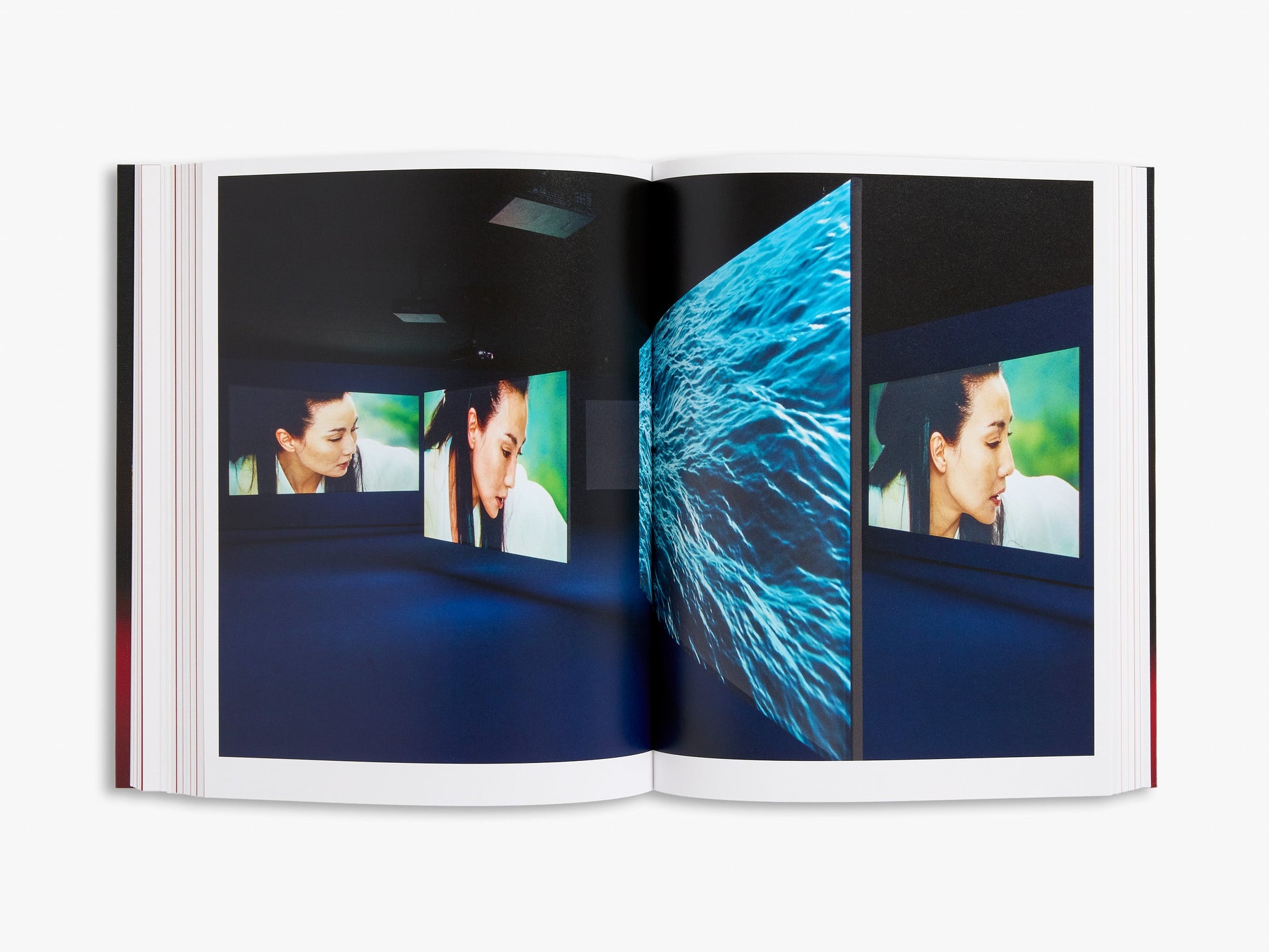 Isaac Julien