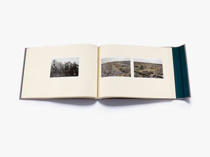 Here Comes Everybody (Limited Edition)