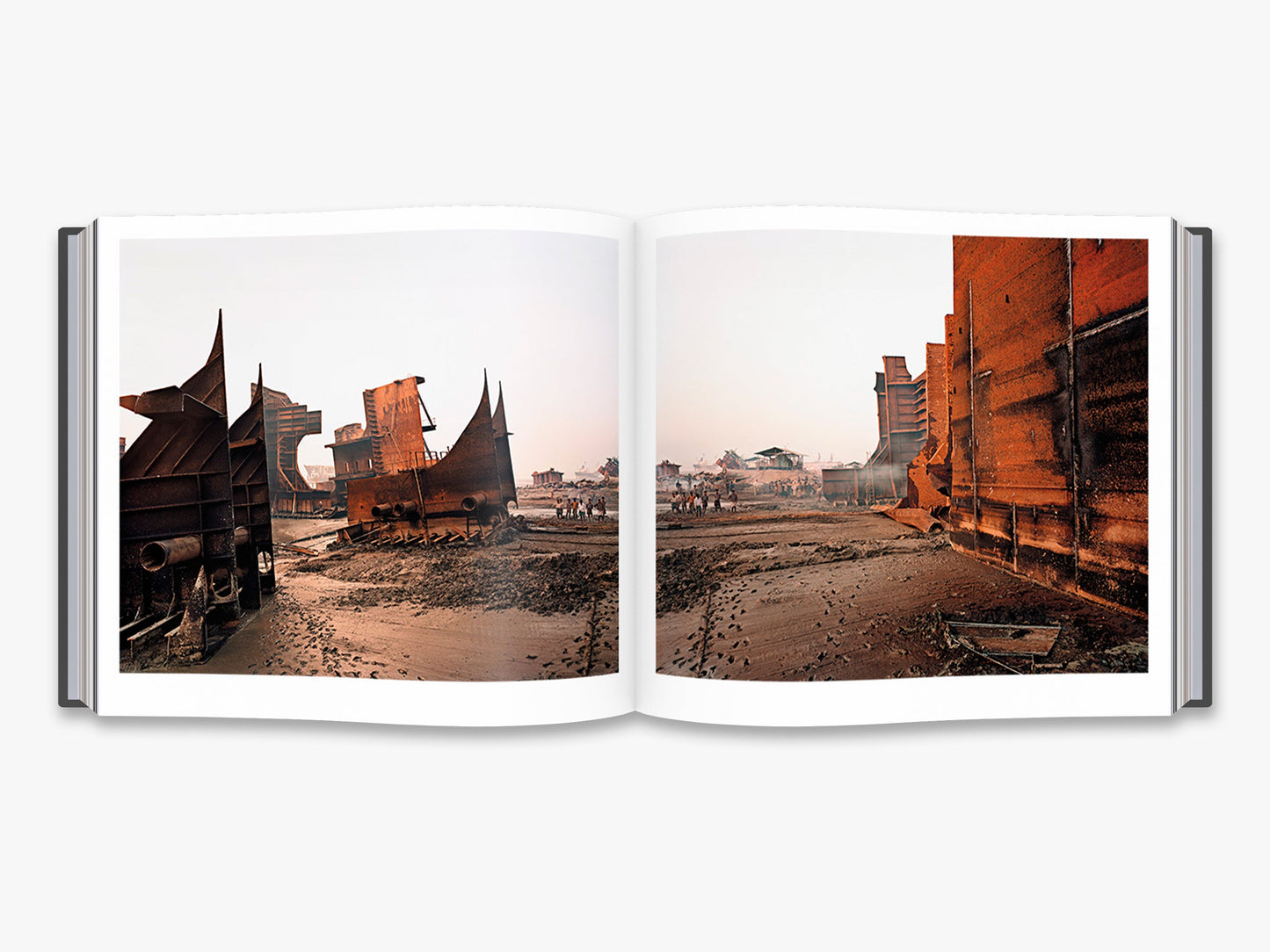 Edward Burtynsky: Essential Elements (Deluxe Edition)
