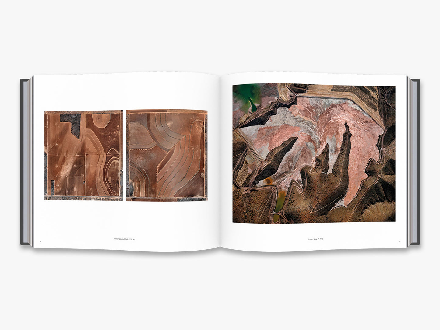 Edward Burtynsky: Essential Elements (Deluxe Edition)
