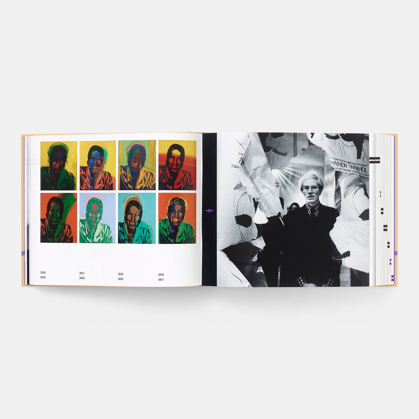 THE ANDY WARHOL CATALOGUE RAISONNÉ: PAINTINGS AND SCULPTURE LATE 1974-1976 (VOLUME 4)
