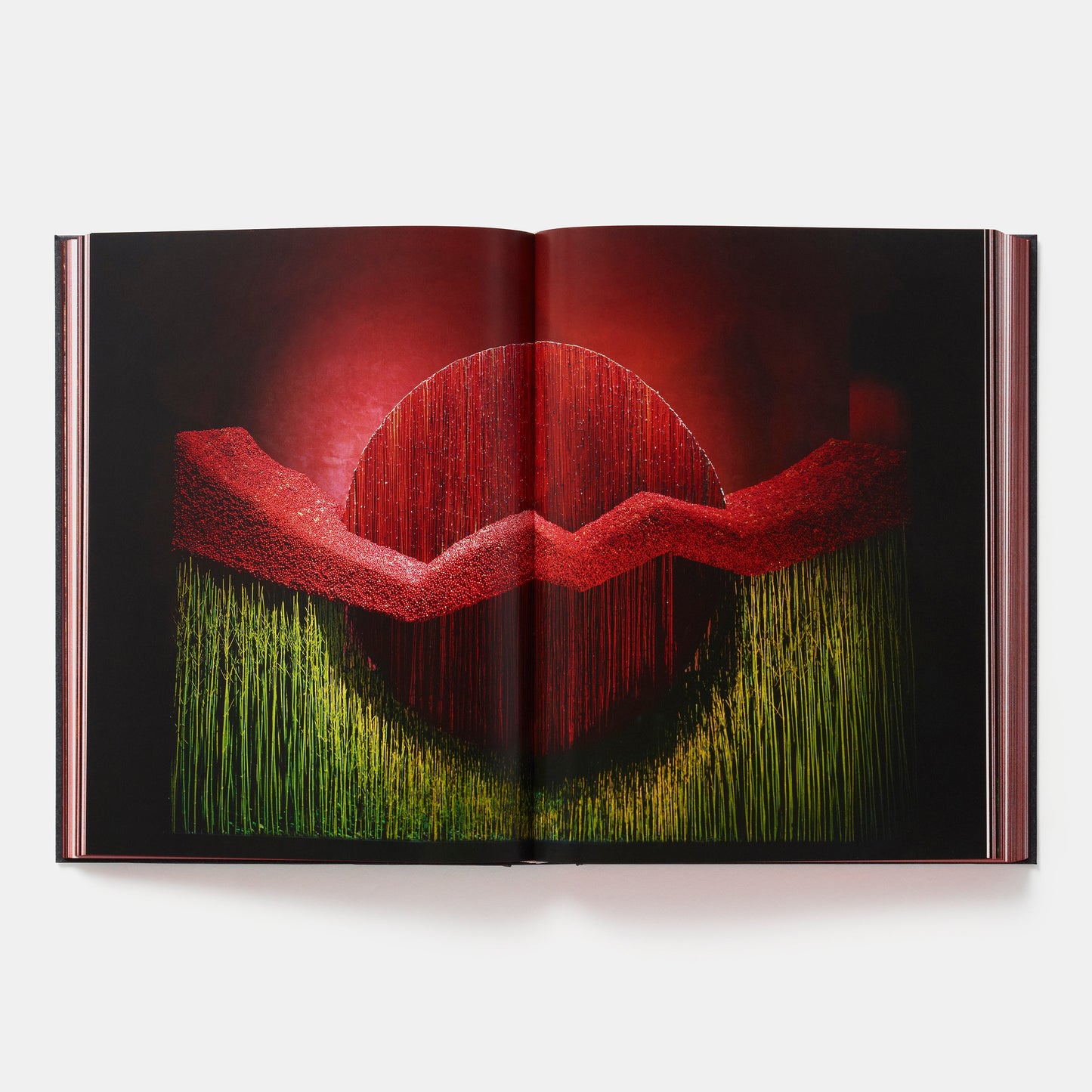 Daniel Ost: Arte floral y la belleza de la impermanencia