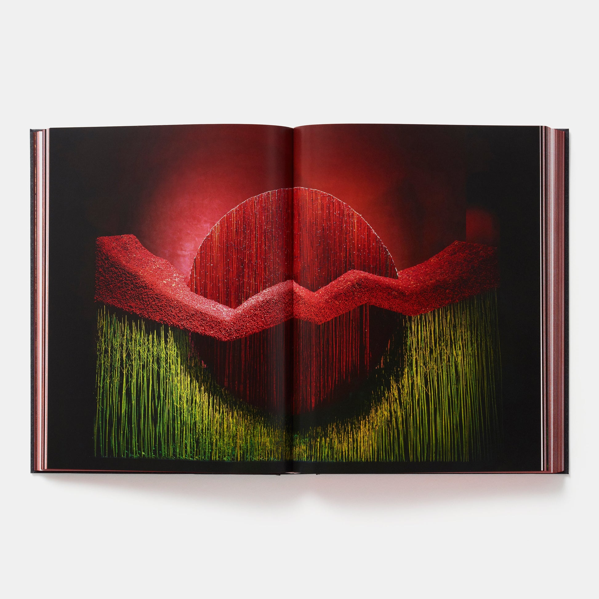 Daniel Ost: Arte floral y la belleza de la impermanencia