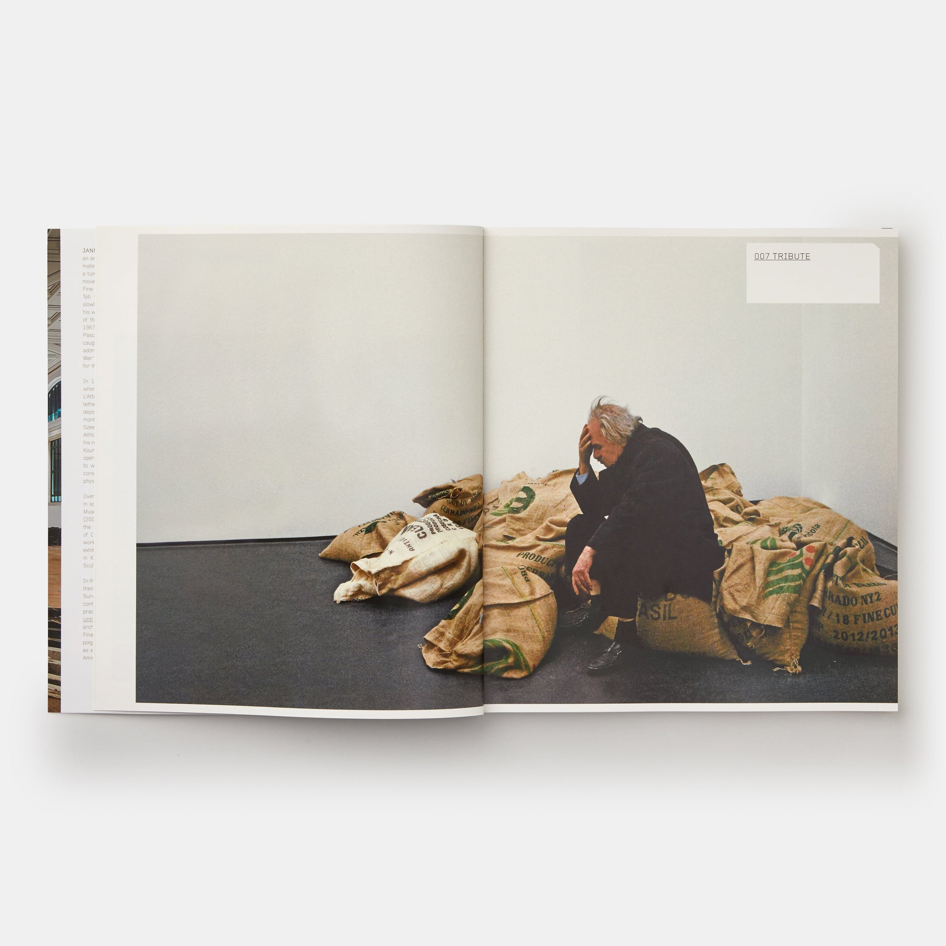 JANNIS KOUNELLIS