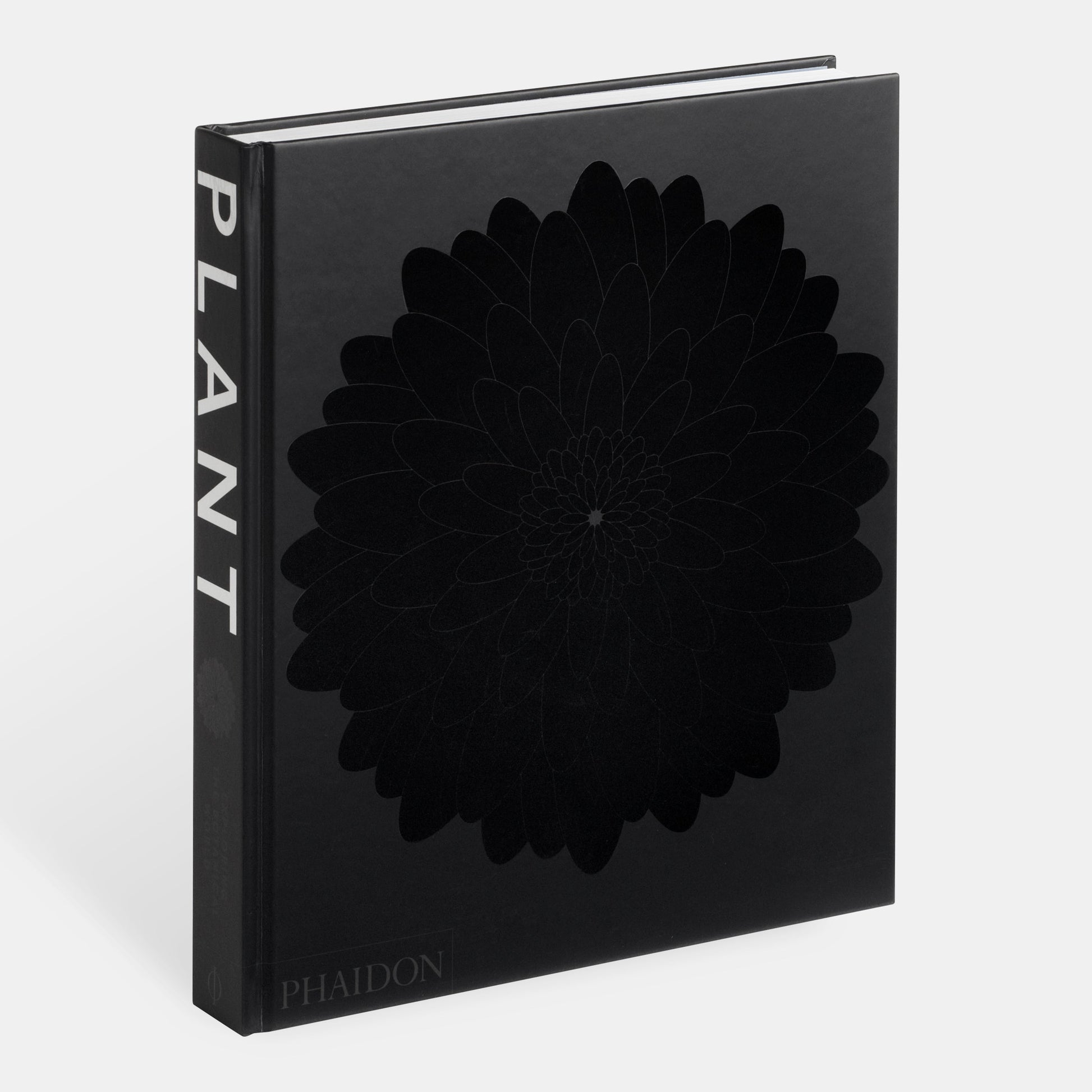 Planta: Explorando el mundo botánico