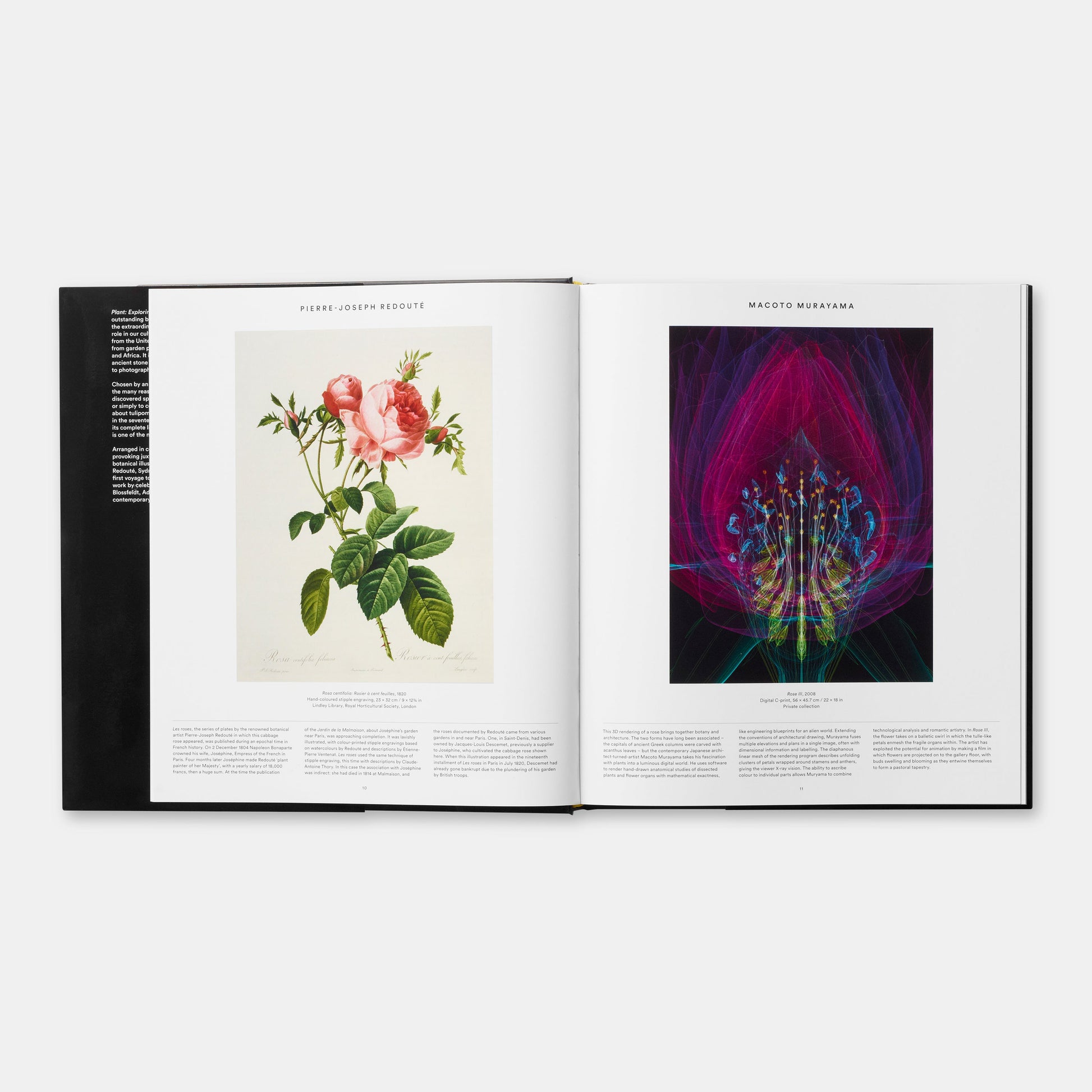 Planta: Explorando el mundo botánico