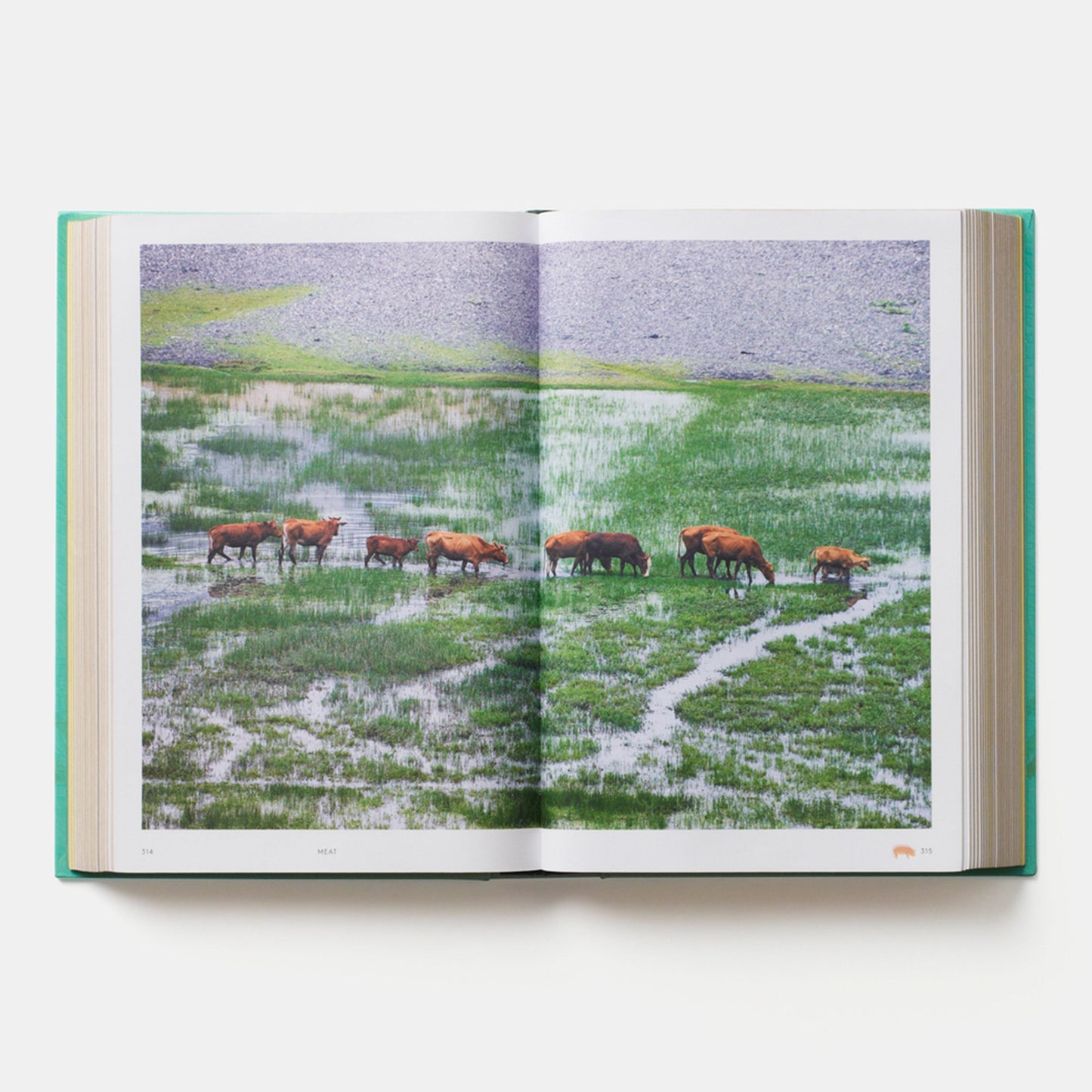 China: El libro de cocina