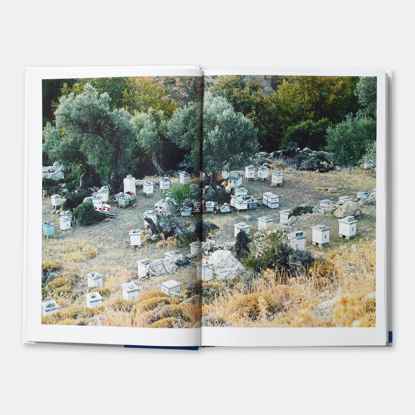 Grecia: El libro de cocina