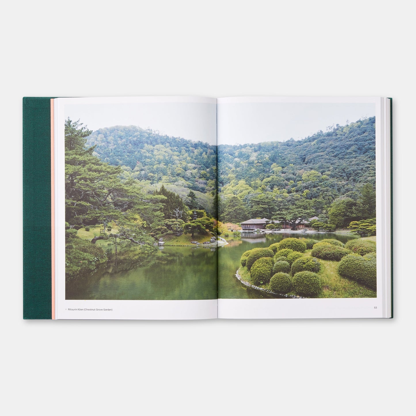 El Jardín Japonés