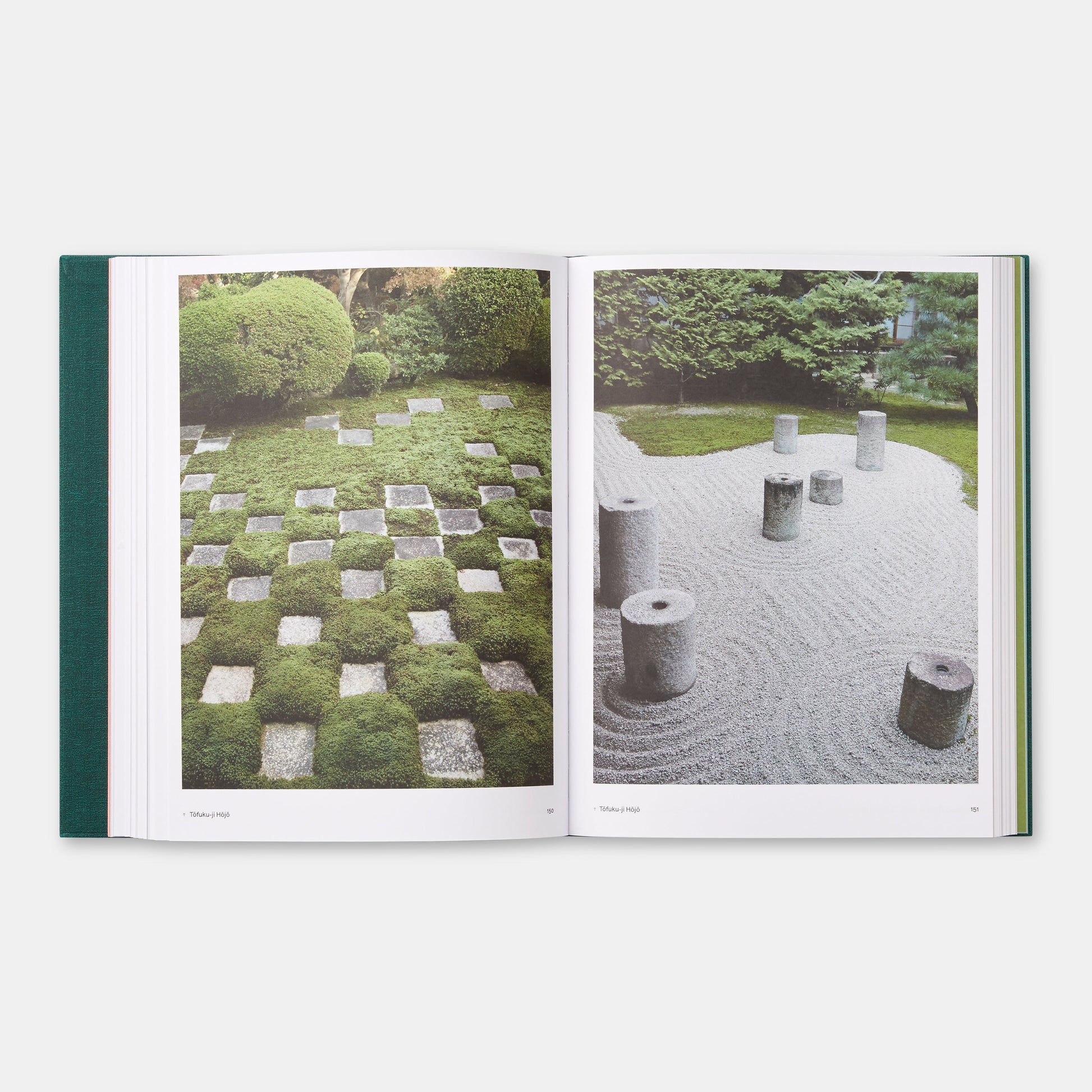 El Jardín Japonés