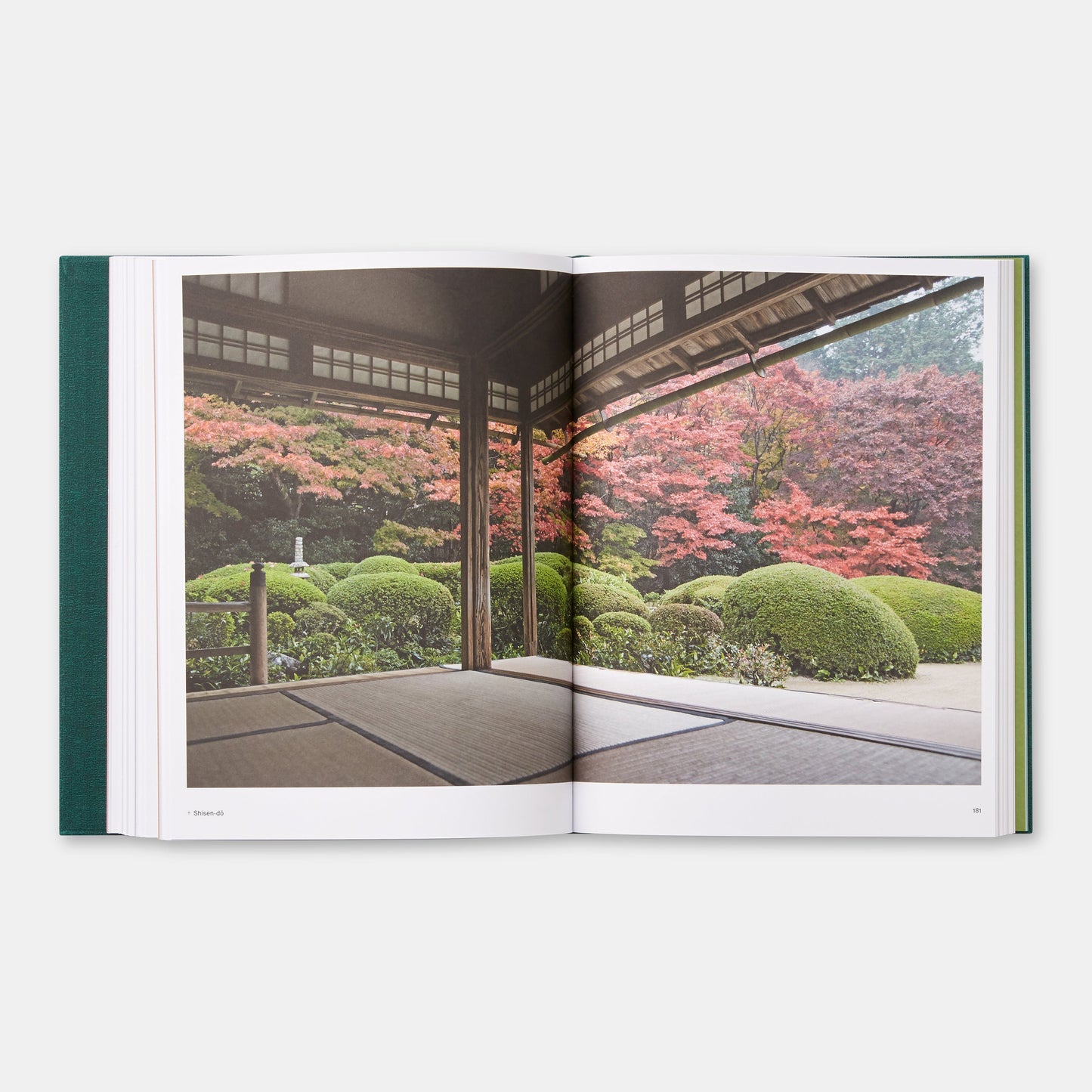 El Jardín Japonés