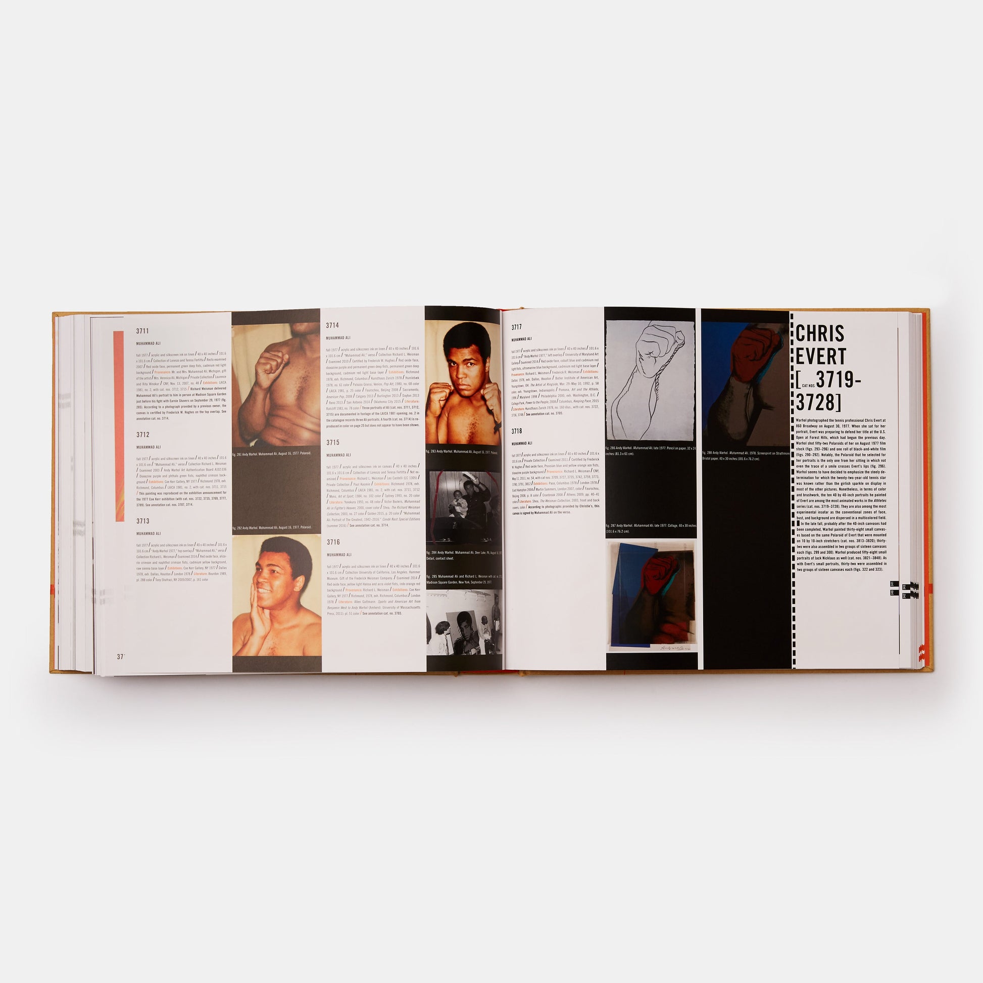 THE ANDY WARHOL CATALOGUE RAISONNÉ: PAINTINGS 1976-1978 (VOLUME 5)