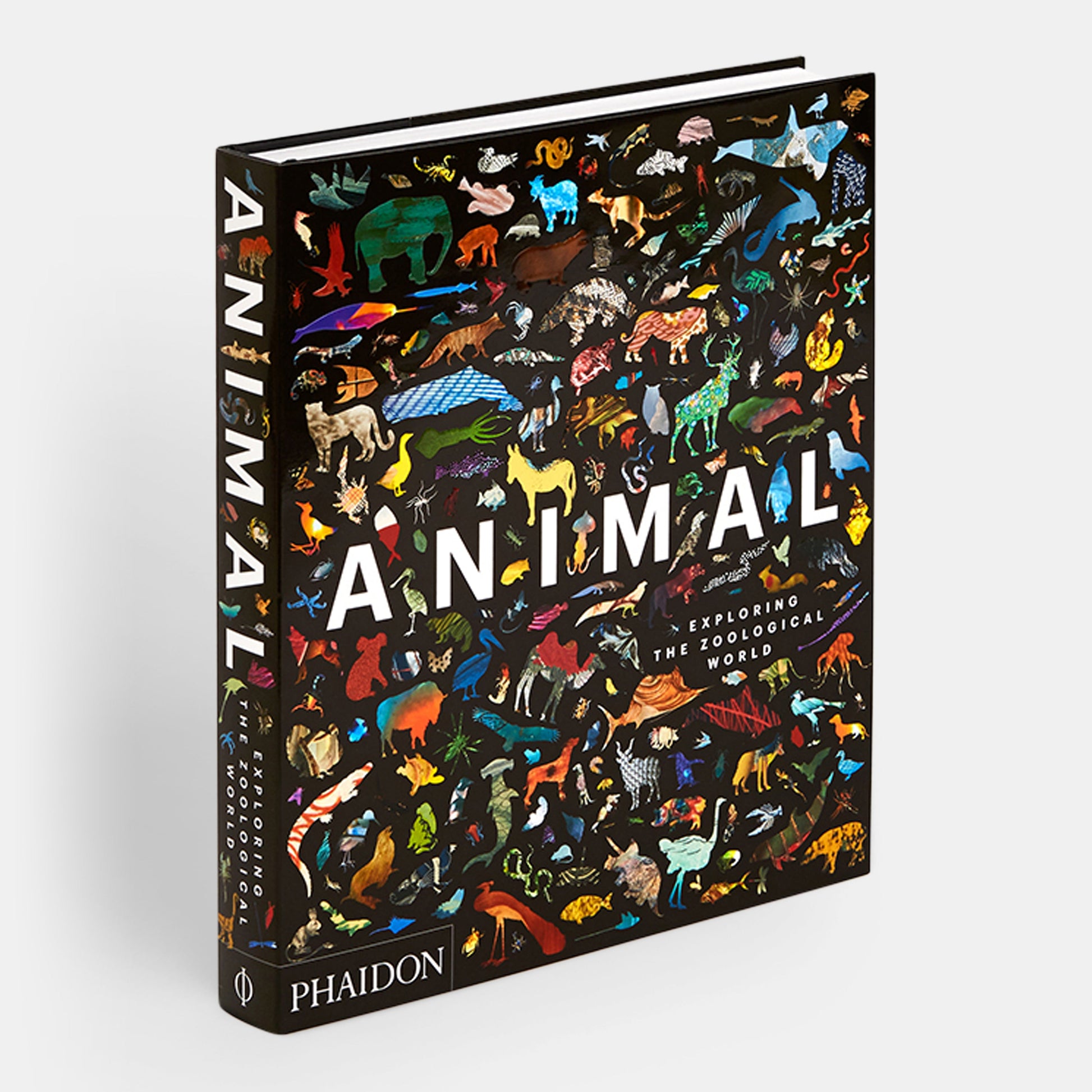 Animal: Explorando el mundo zoológico