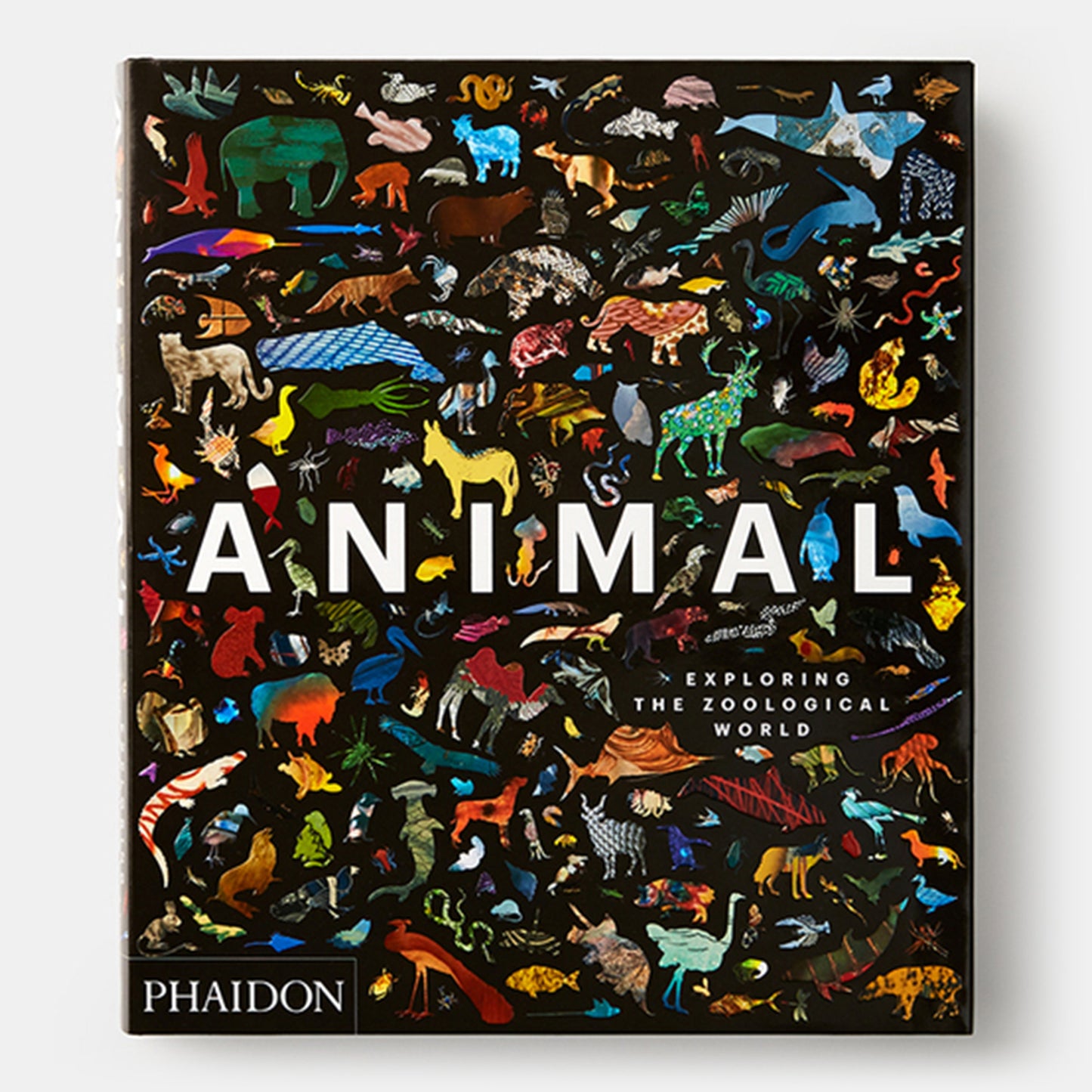 Animal: Explorando el mundo zoológico