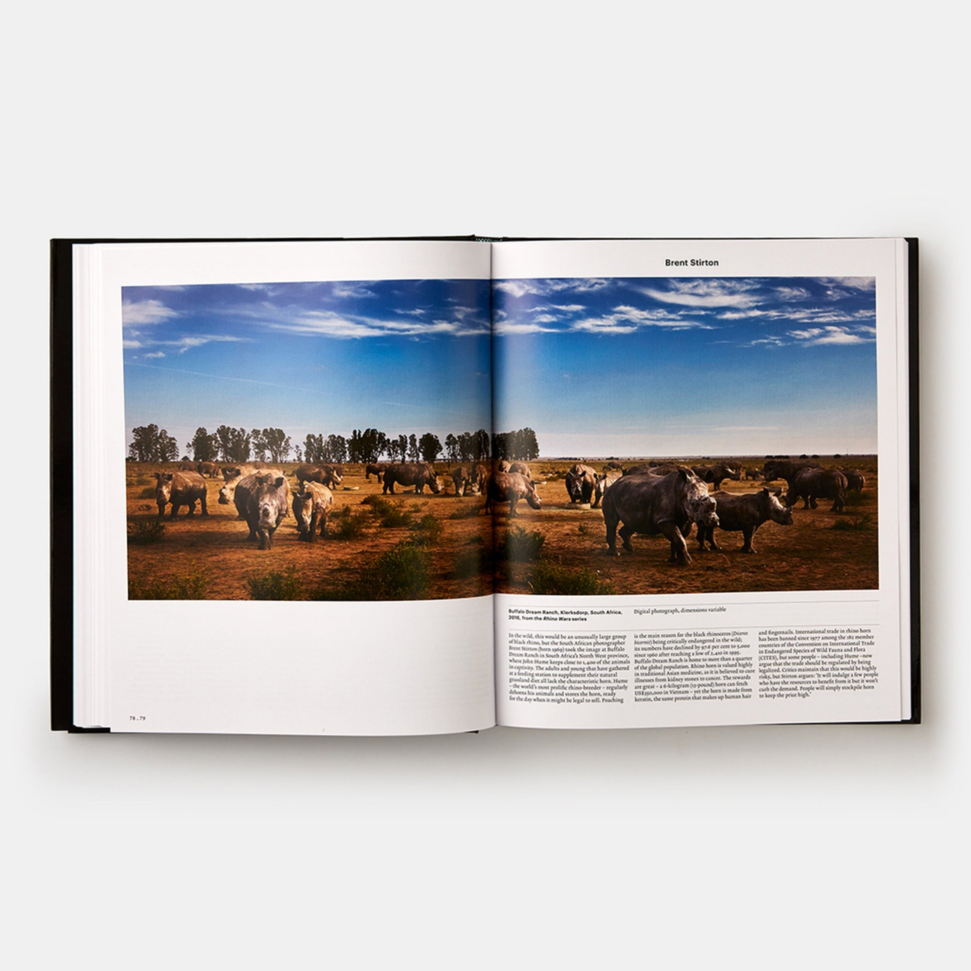 Animal: Explorando el mundo zoológico