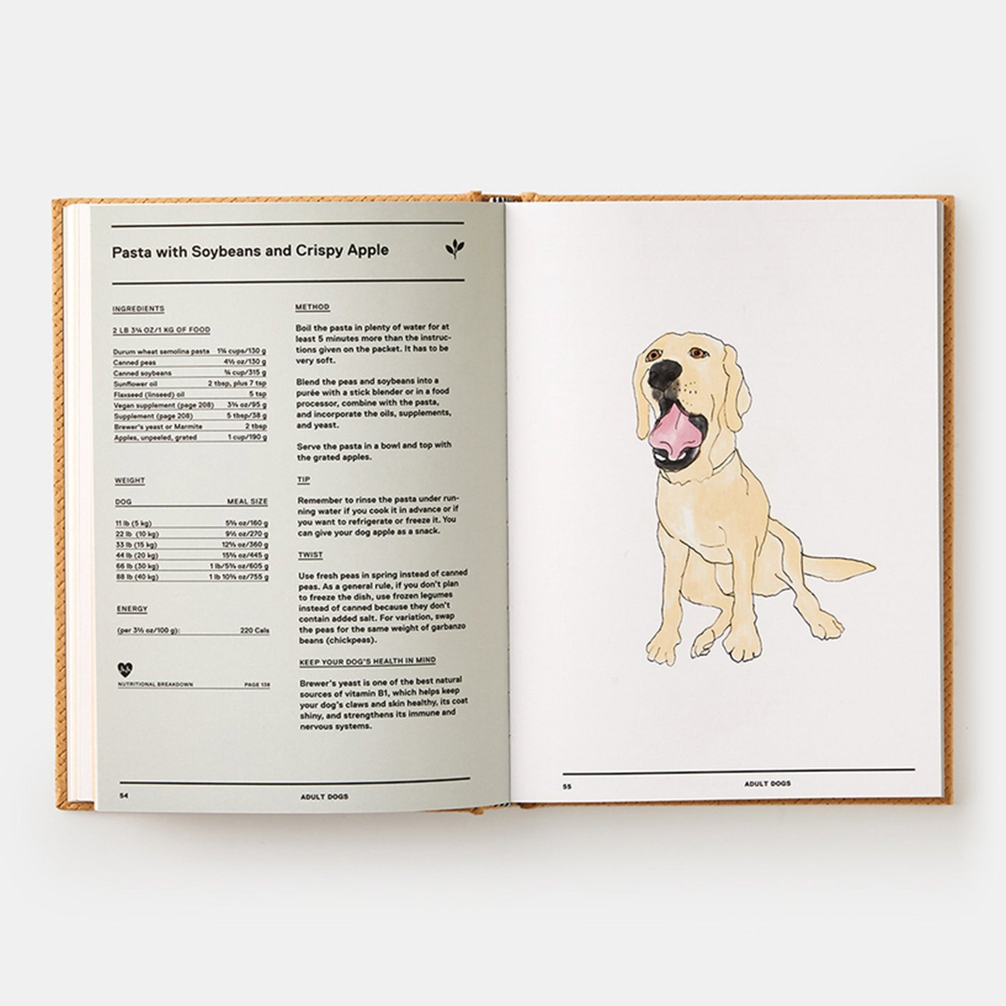 Aliméntame: 50 comidas caseras para tu perro