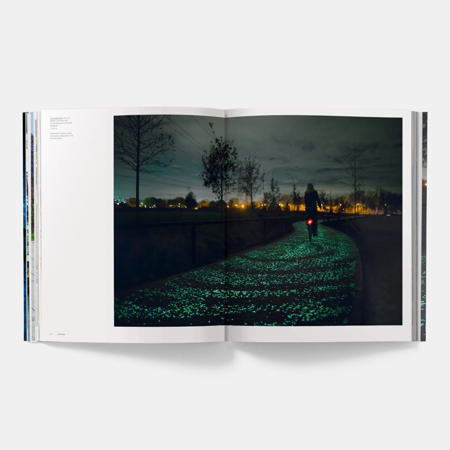 DAAN ROOSEGAARDE