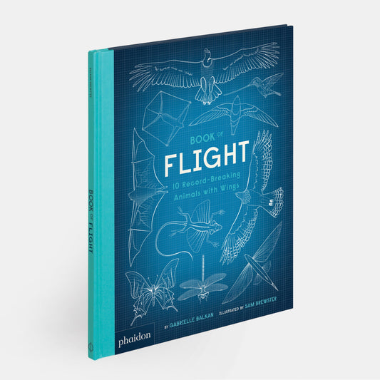 El libro del vuelo: 10 animales con alas que rompieron récords
