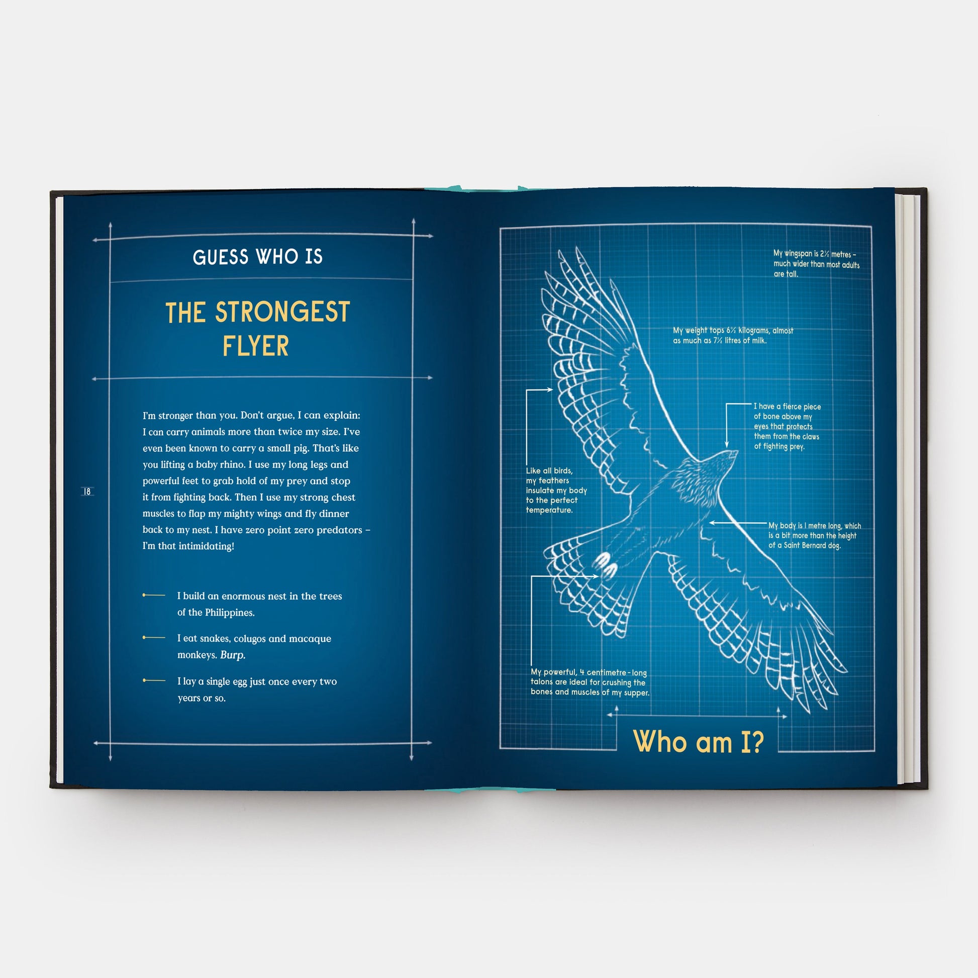 El libro del vuelo: 10 animales con alas que rompieron récords