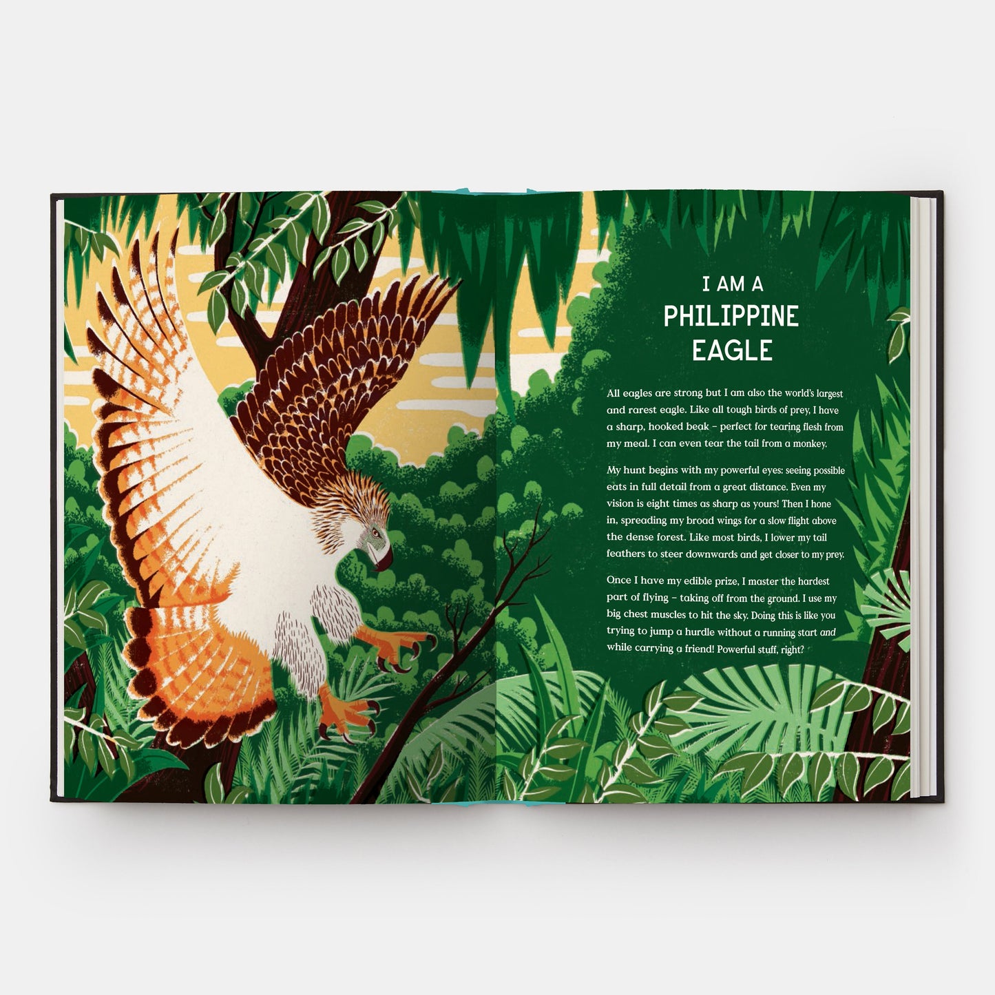 El libro del vuelo: 10 animales con alas que rompieron récords