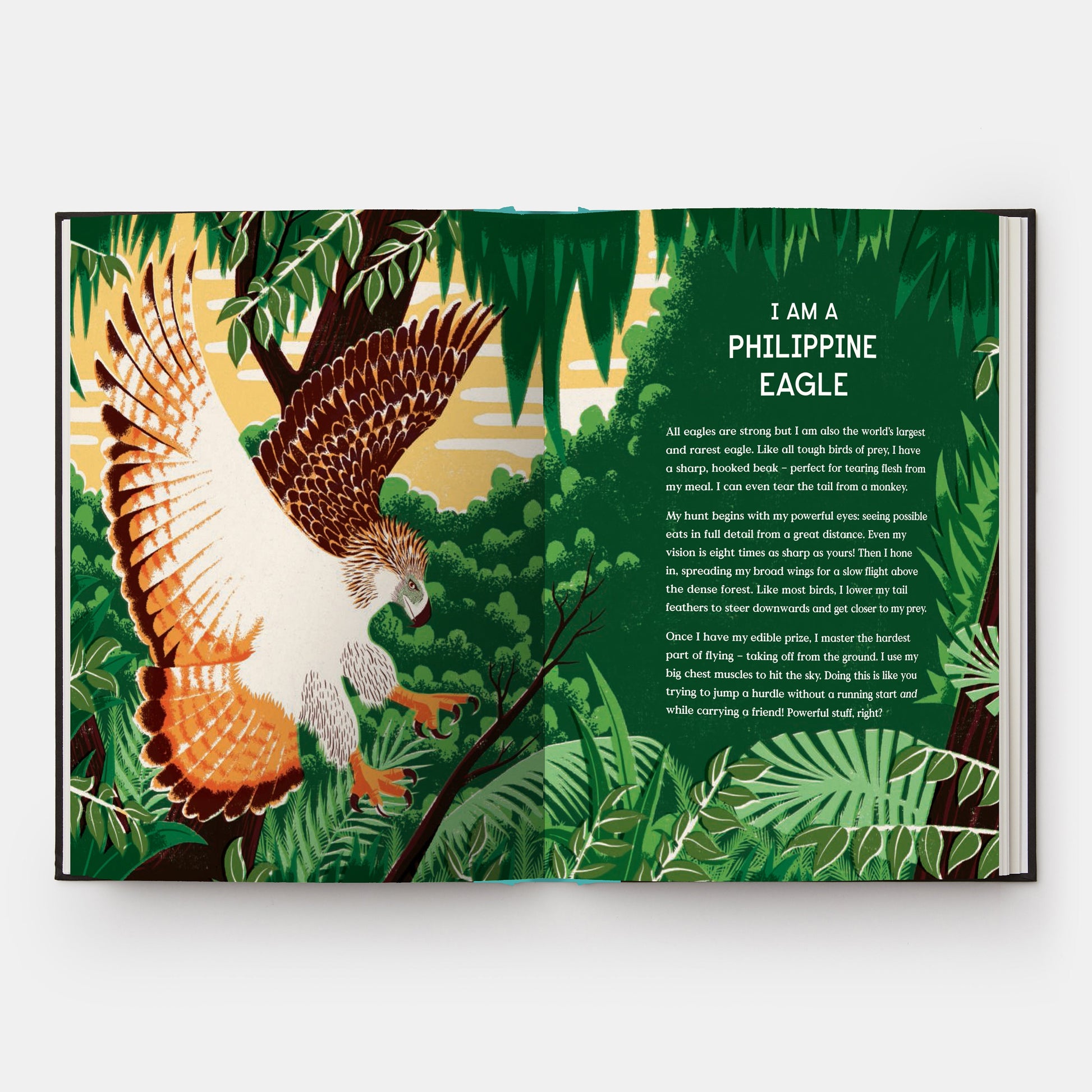 El libro del vuelo: 10 animales con alas que rompieron récords