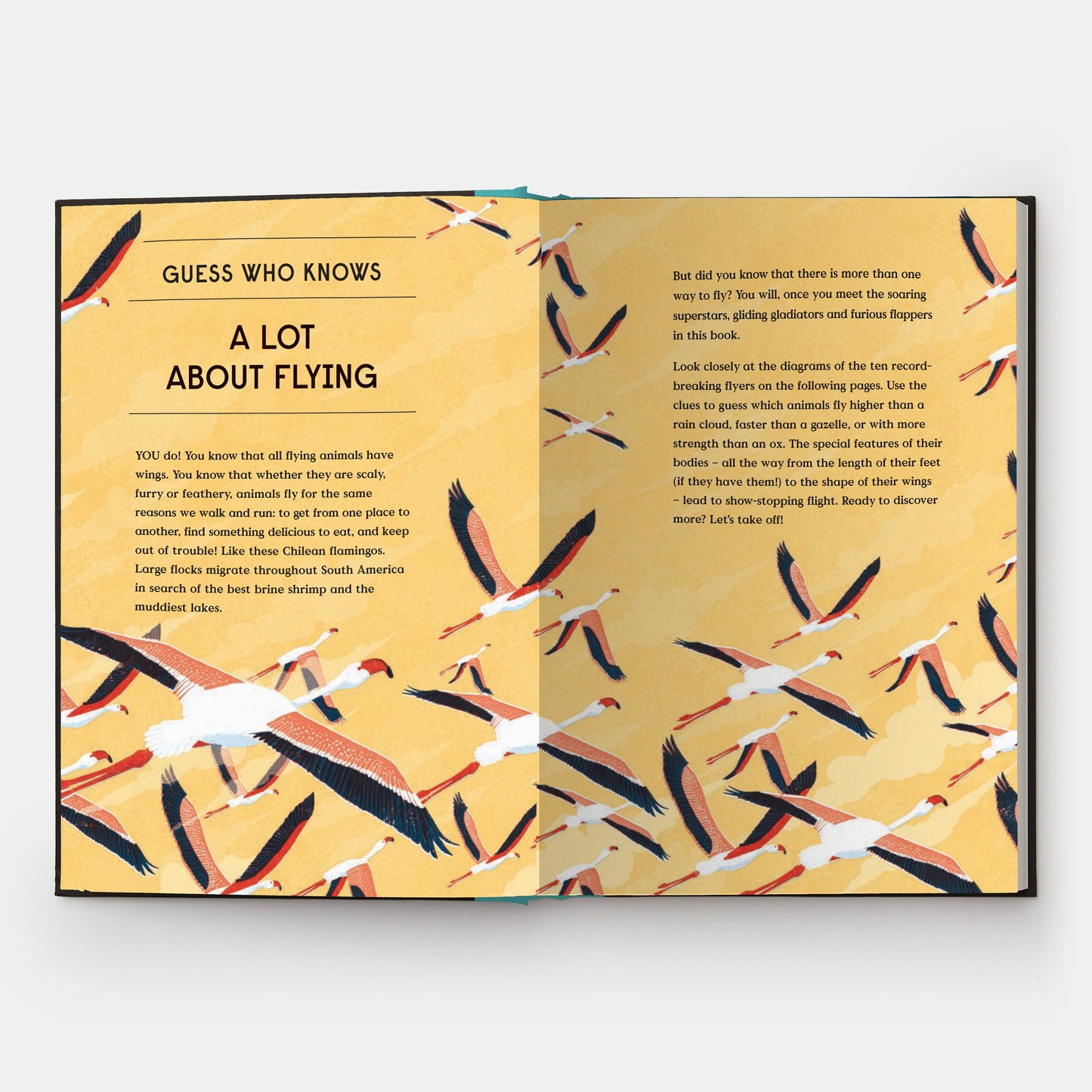 El libro del vuelo: 10 animales con alas que rompieron récords