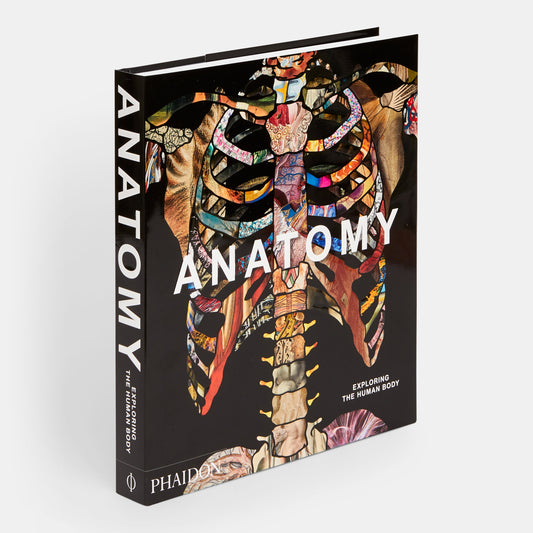 Anatomía: Explorando el cuerpo humano