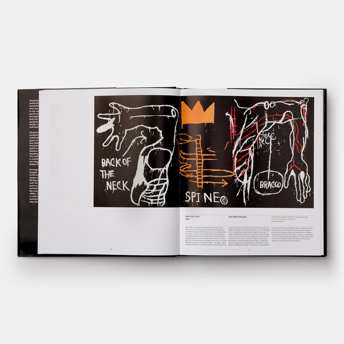Anatomy: Exploring the Human Body