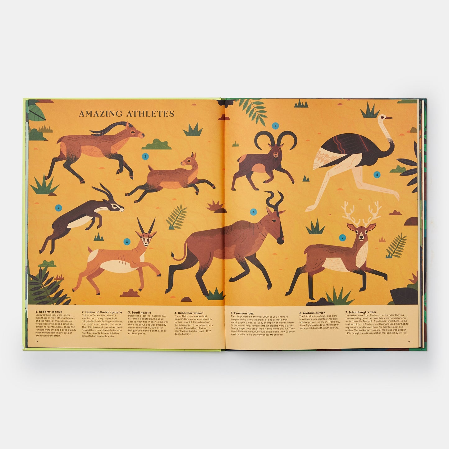 Extinto: Una exploración ilustrada de animales que han desaparecido