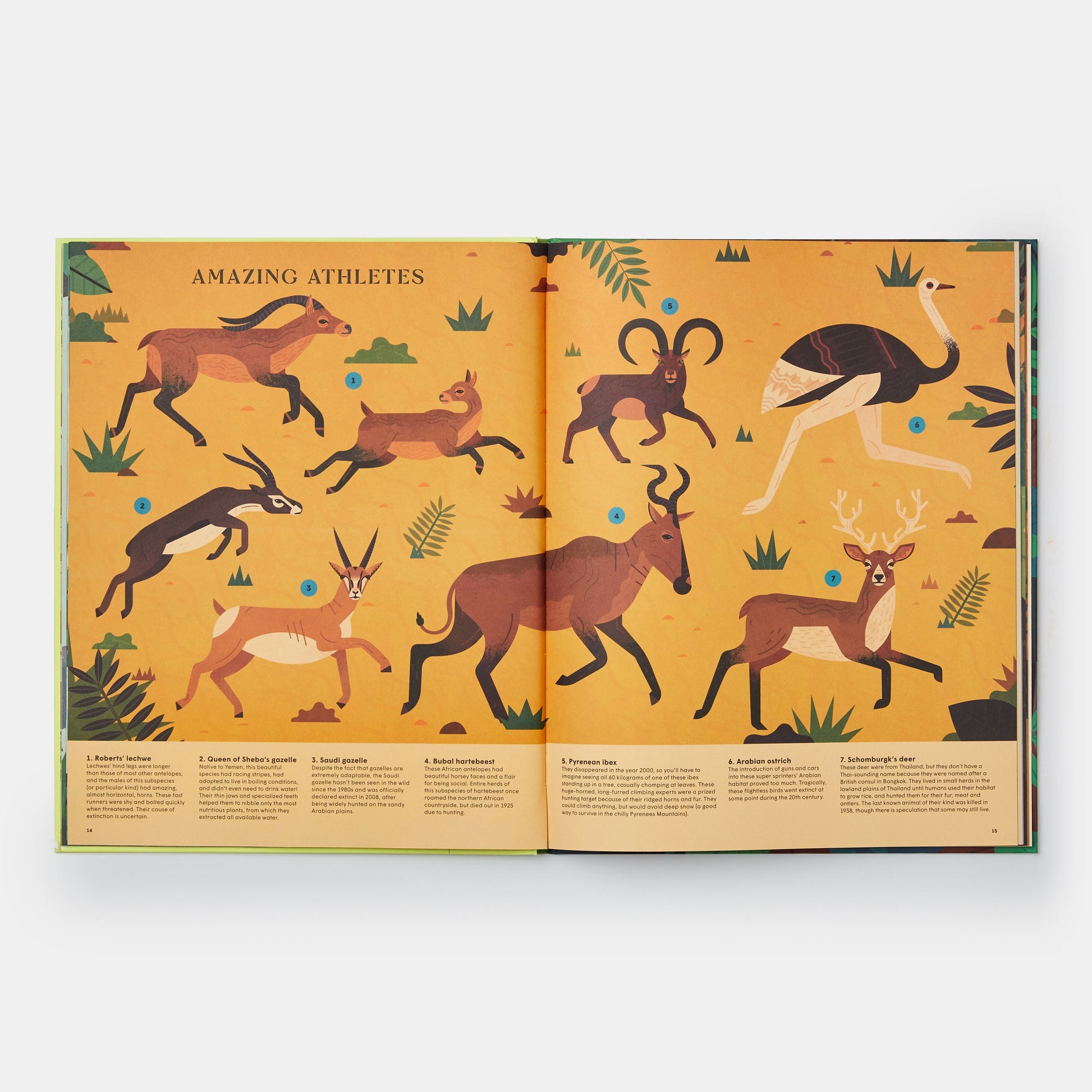 Extinto: Una exploración ilustrada de animales que han desaparecido