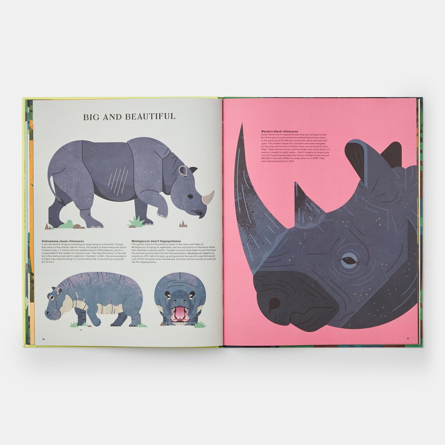 Extinto: Una exploración ilustrada de animales que han desaparecido