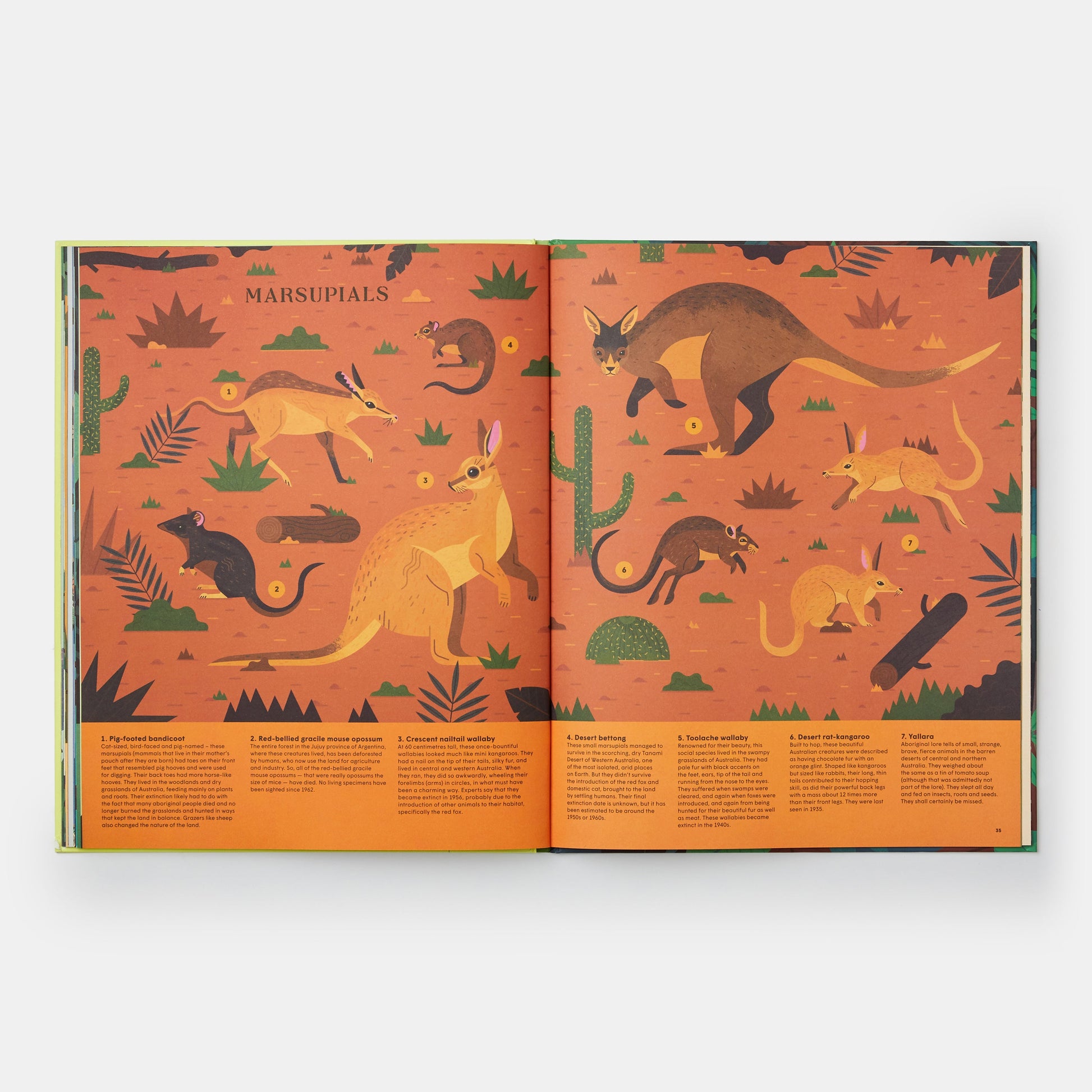 Extinto: Una exploración ilustrada de animales que han desaparecido