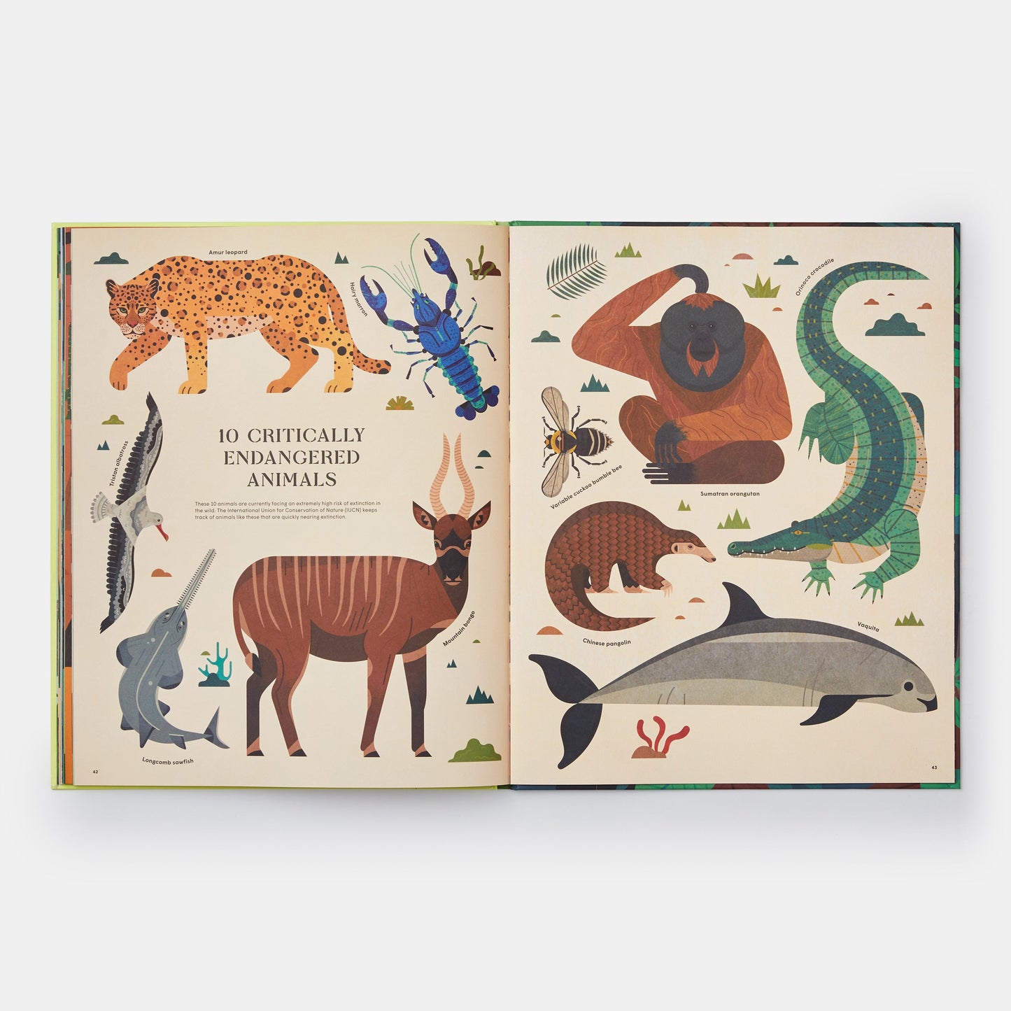 Extinto: Una exploración ilustrada de animales que han desaparecido