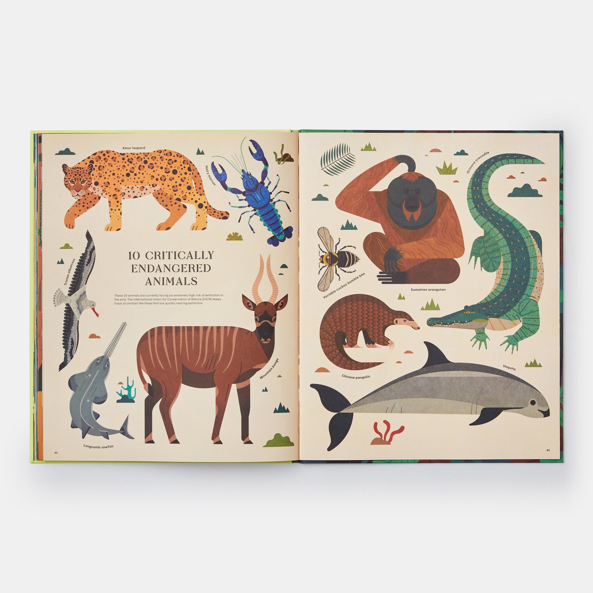 Extinto: Una exploración ilustrada de animales que han desaparecido