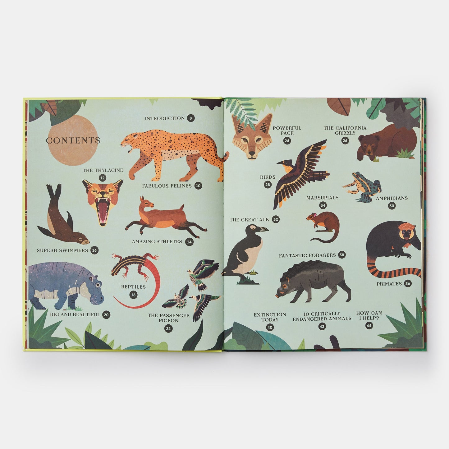 Extinto: Una exploración ilustrada de animales que han desaparecido