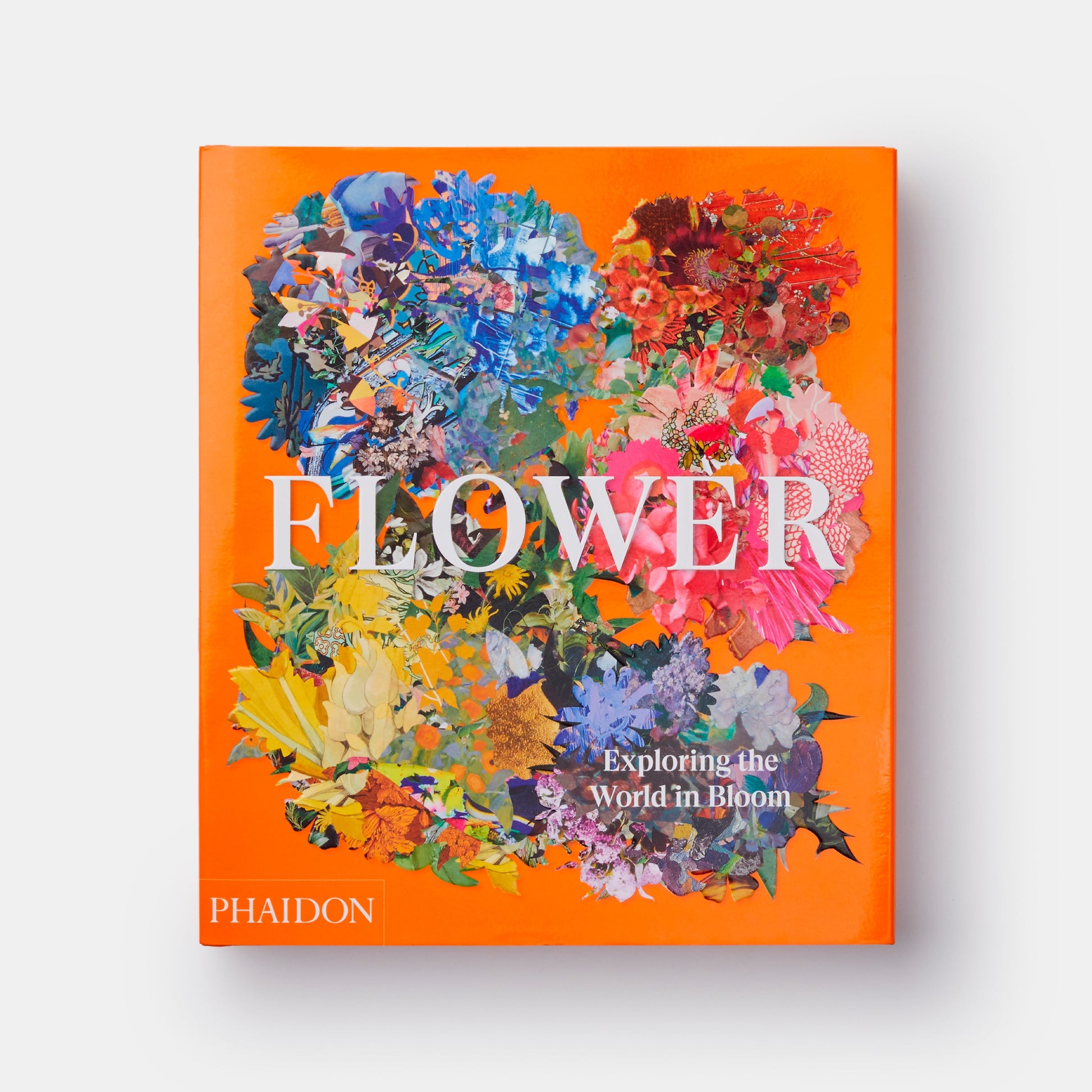 Flor: Explorando el mundo en floración
