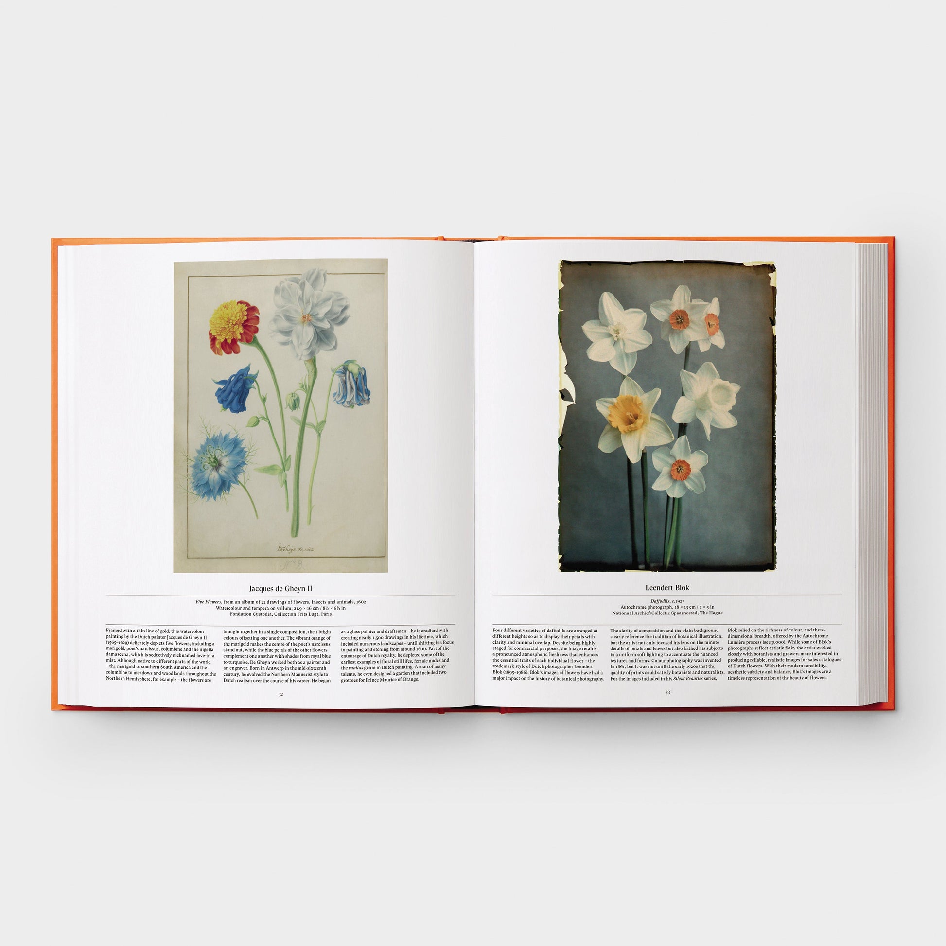 Flor: Explorando el mundo en floración