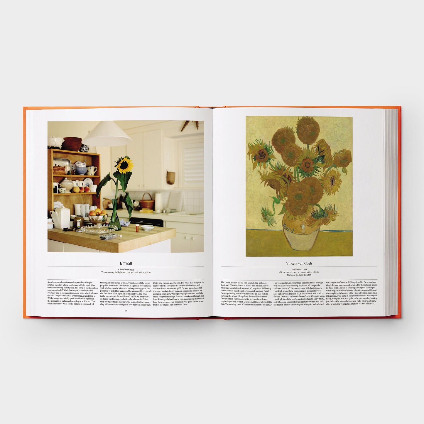 Flor: Explorando el mundo en floración