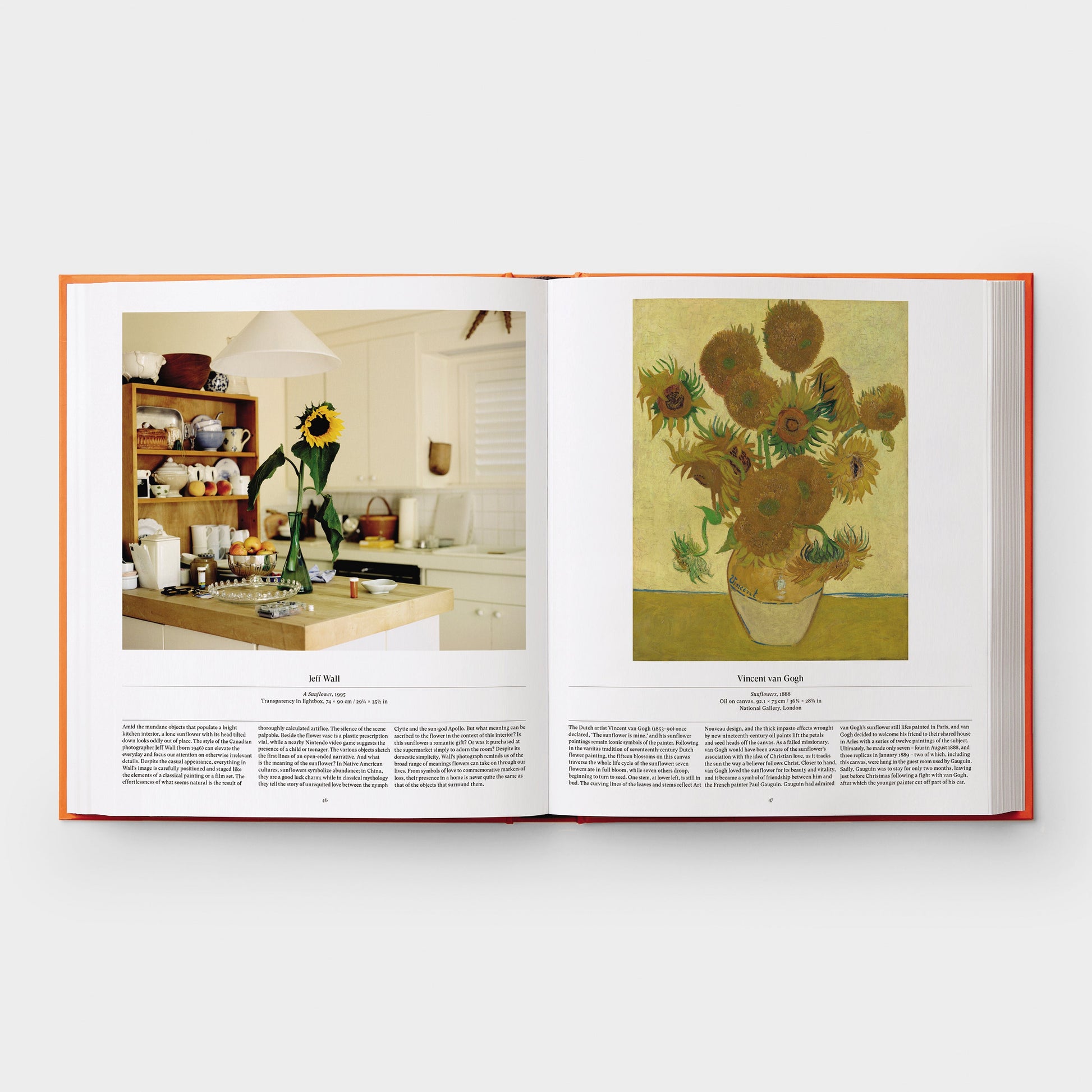 Flor: Explorando el mundo en floración