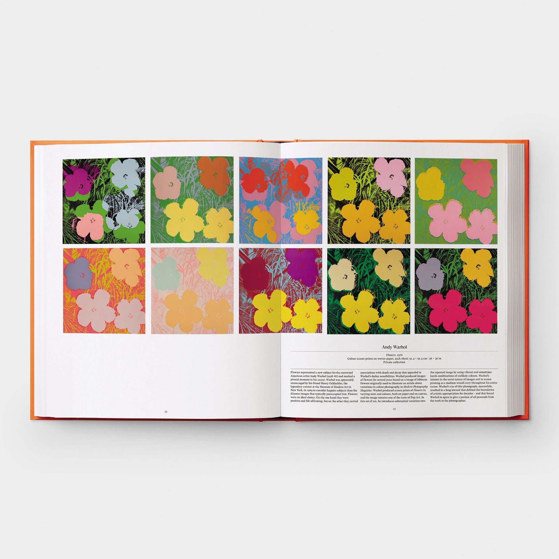 Flor: Explorando el mundo en floración