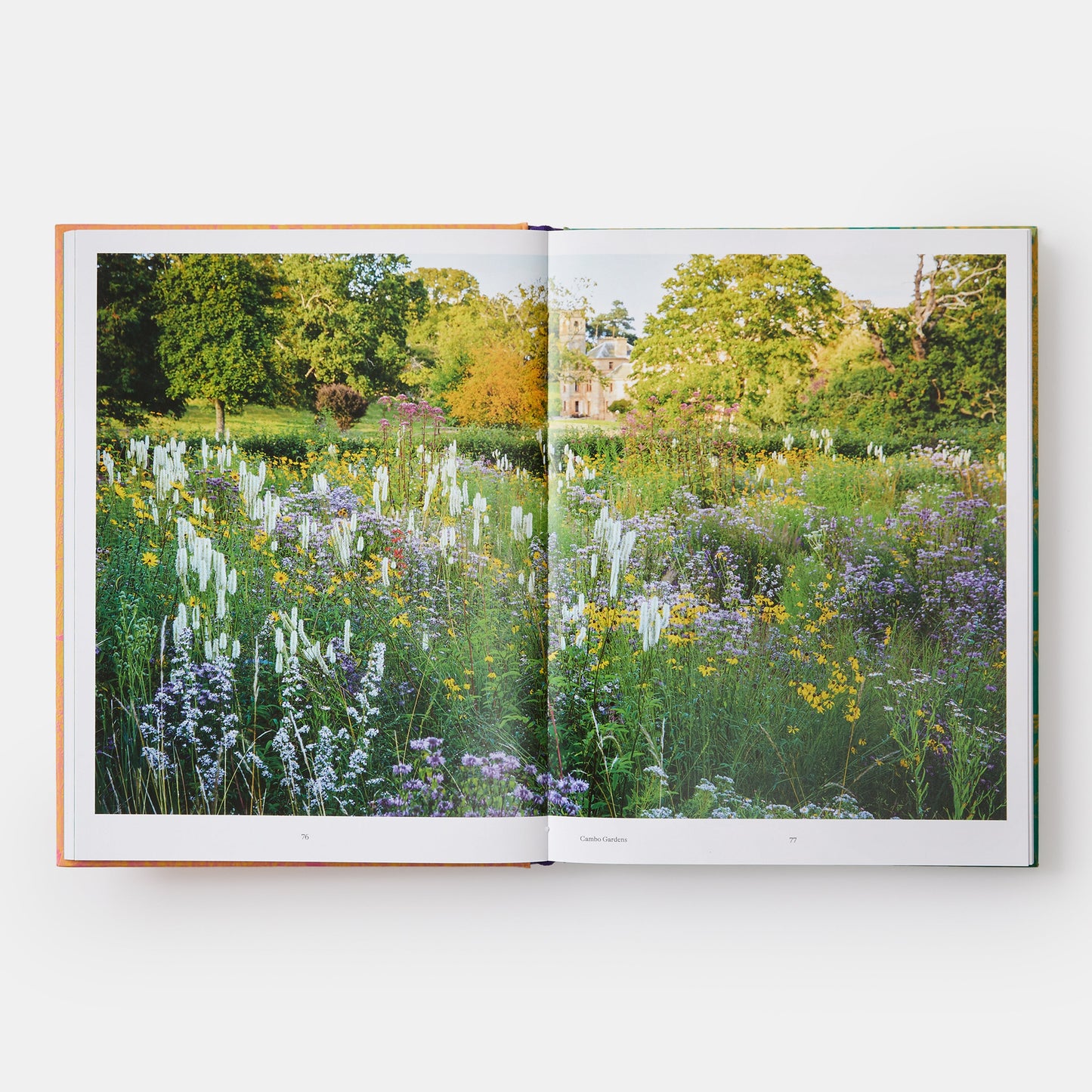 Wild: El jardín naturalista