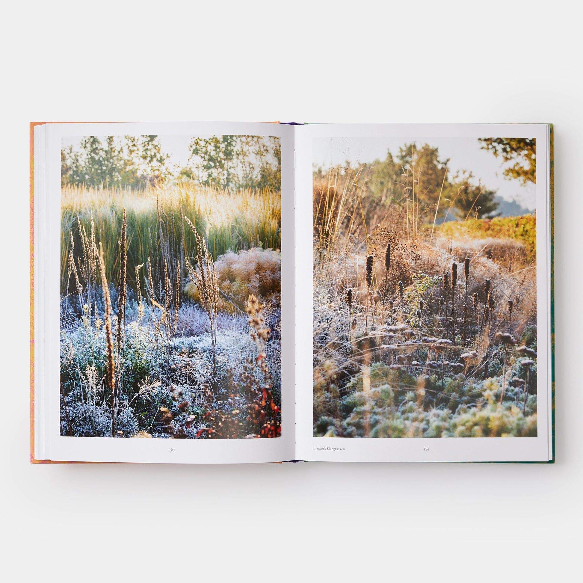 Wild: El jardín naturalista