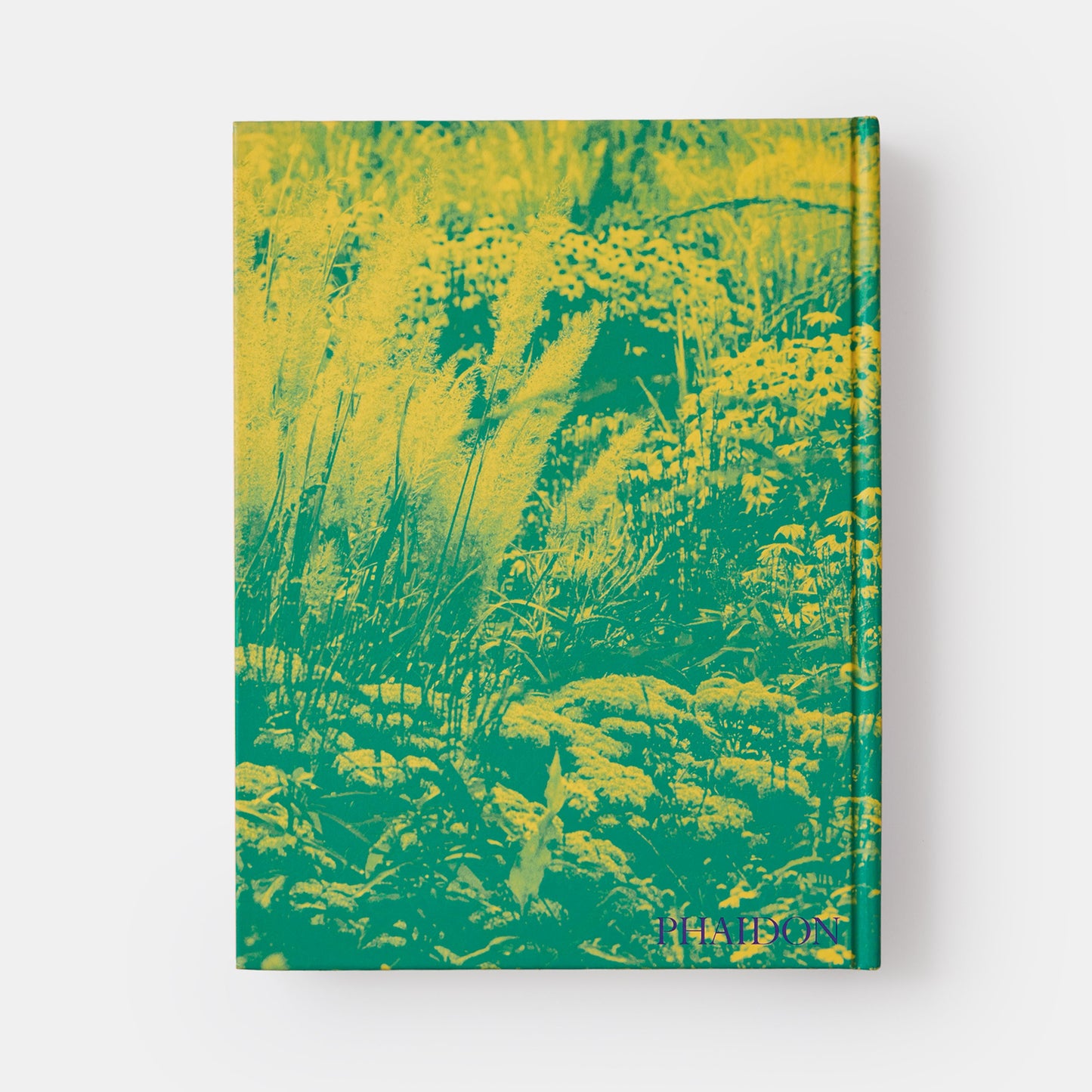 Wild: El jardín naturalista