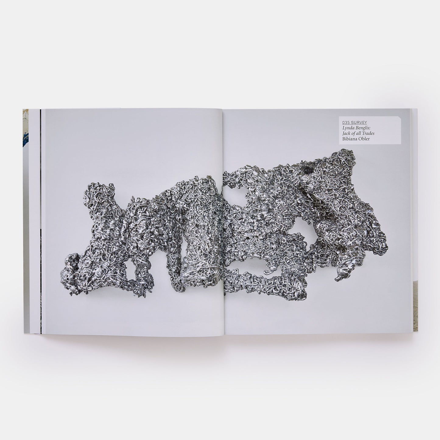 LYNDA BENGLIS