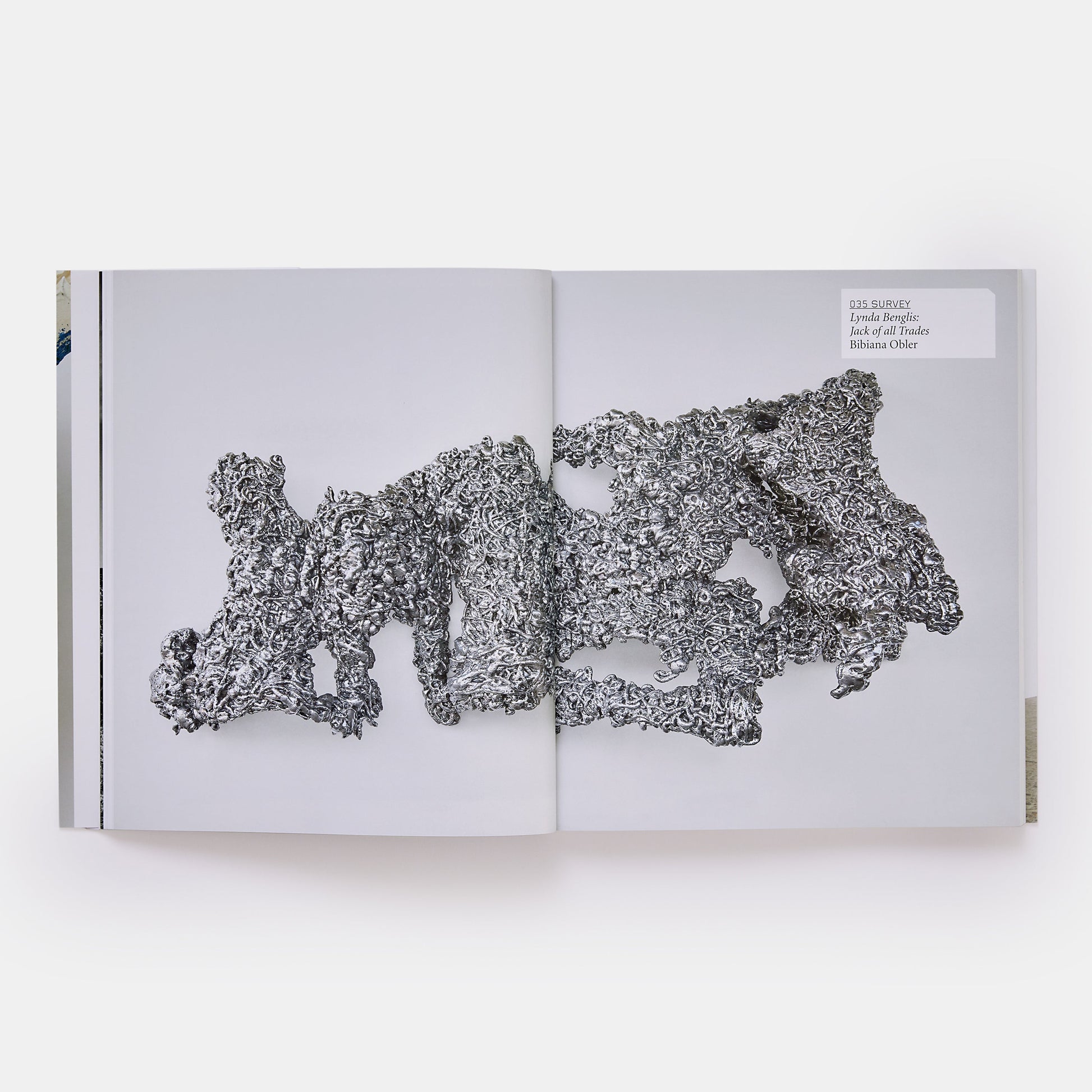 LYNDA BENGLIS