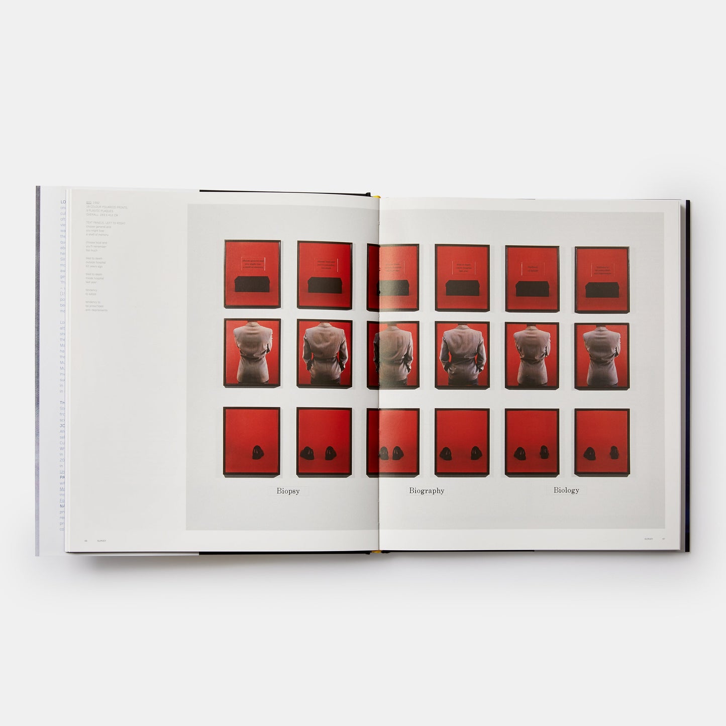LORNA SIMPSON