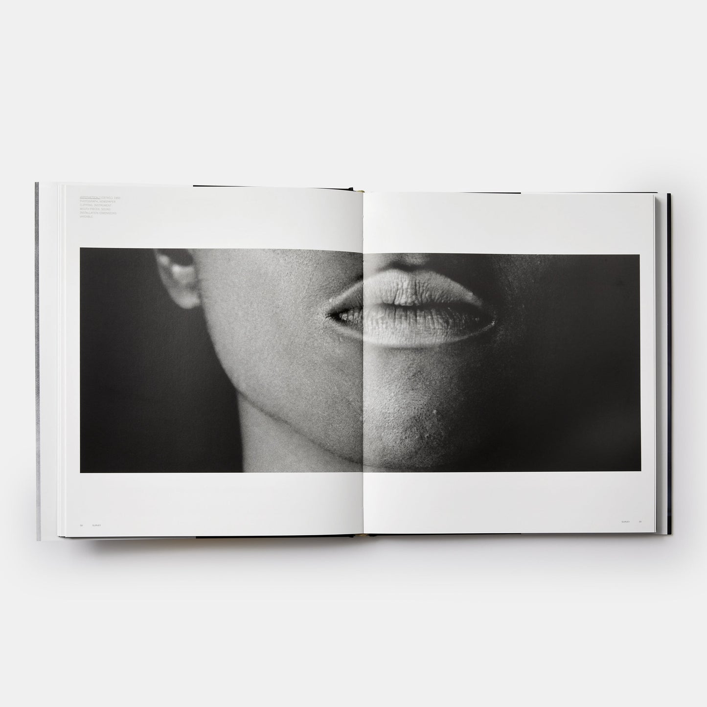 LORNA SIMPSON