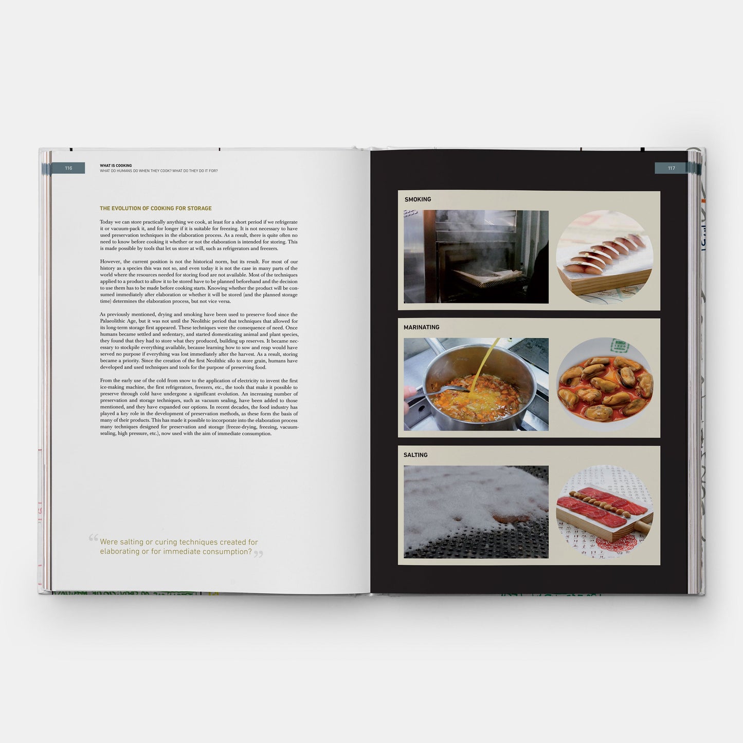 WHAT IS COOKING: THE ACTION: COOKING, THE RESULT: CUISINE